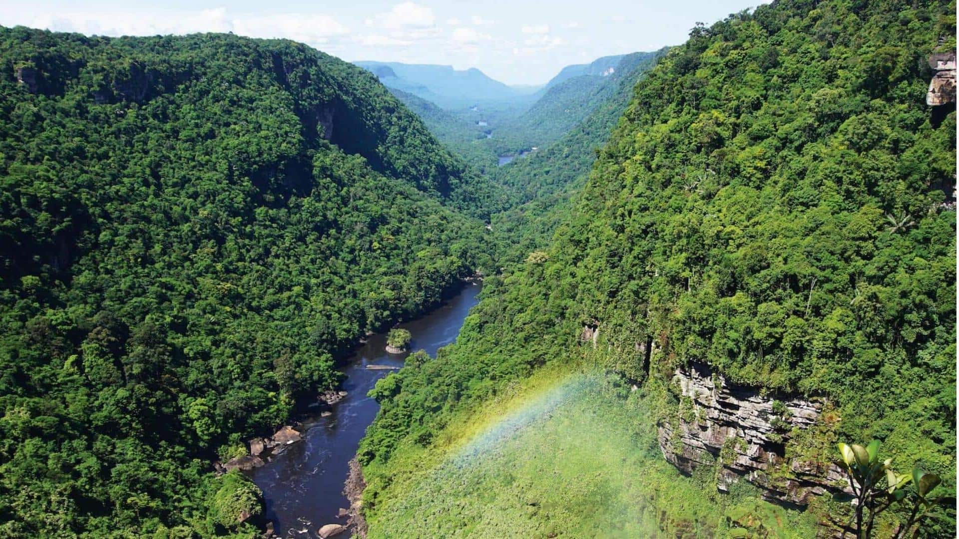 Menjelajahi Hutan Hujan Amazon, Brasil: Rencanakan petualangan Anda