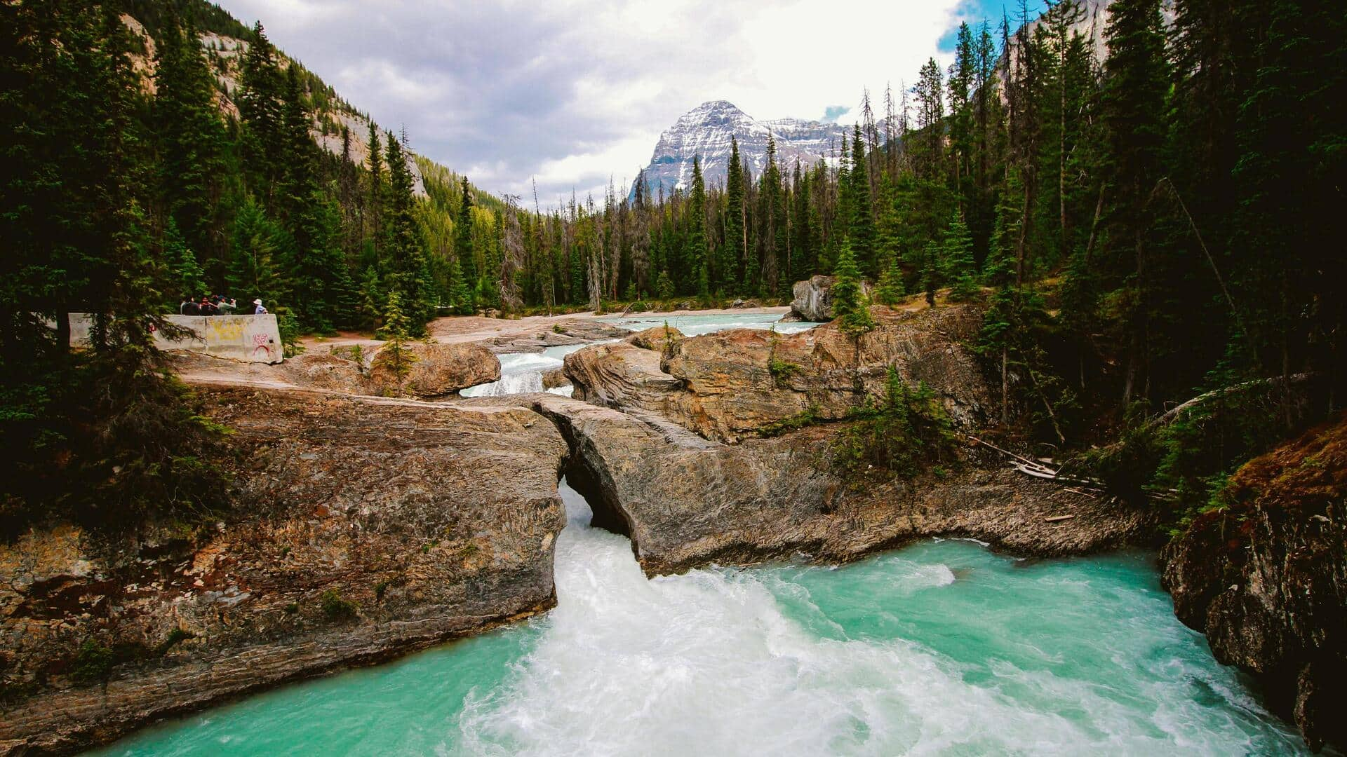 Menjelajahi Keindahan Emerald Basin di Taman Nasional Yoho, Kanada