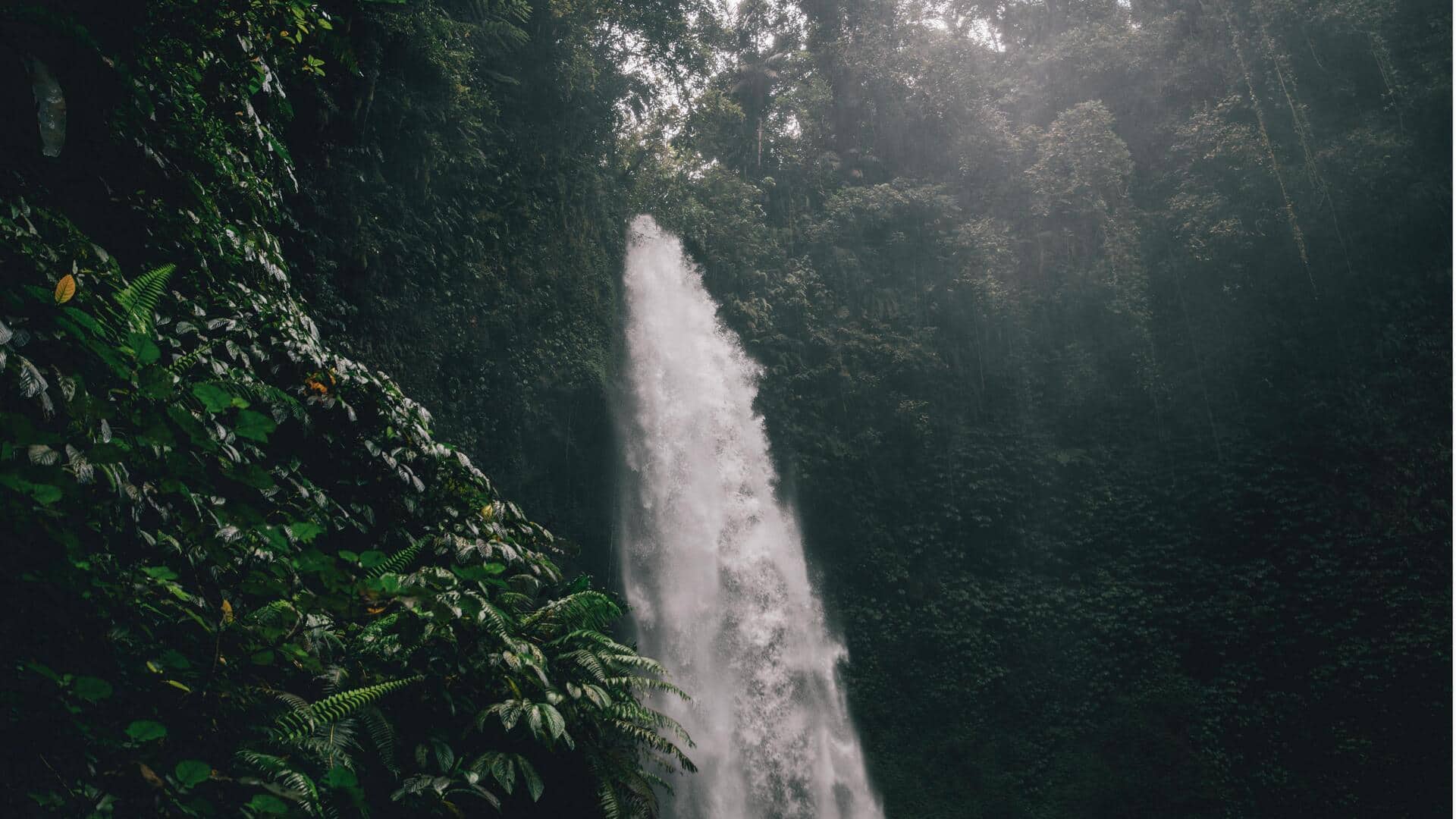 Tempat Rahasia di Hutan Indonesia untuk Petualangan yang Tenang Tempat Rahasia di Hutan Indonesia untuk Petualangan yang Tenang