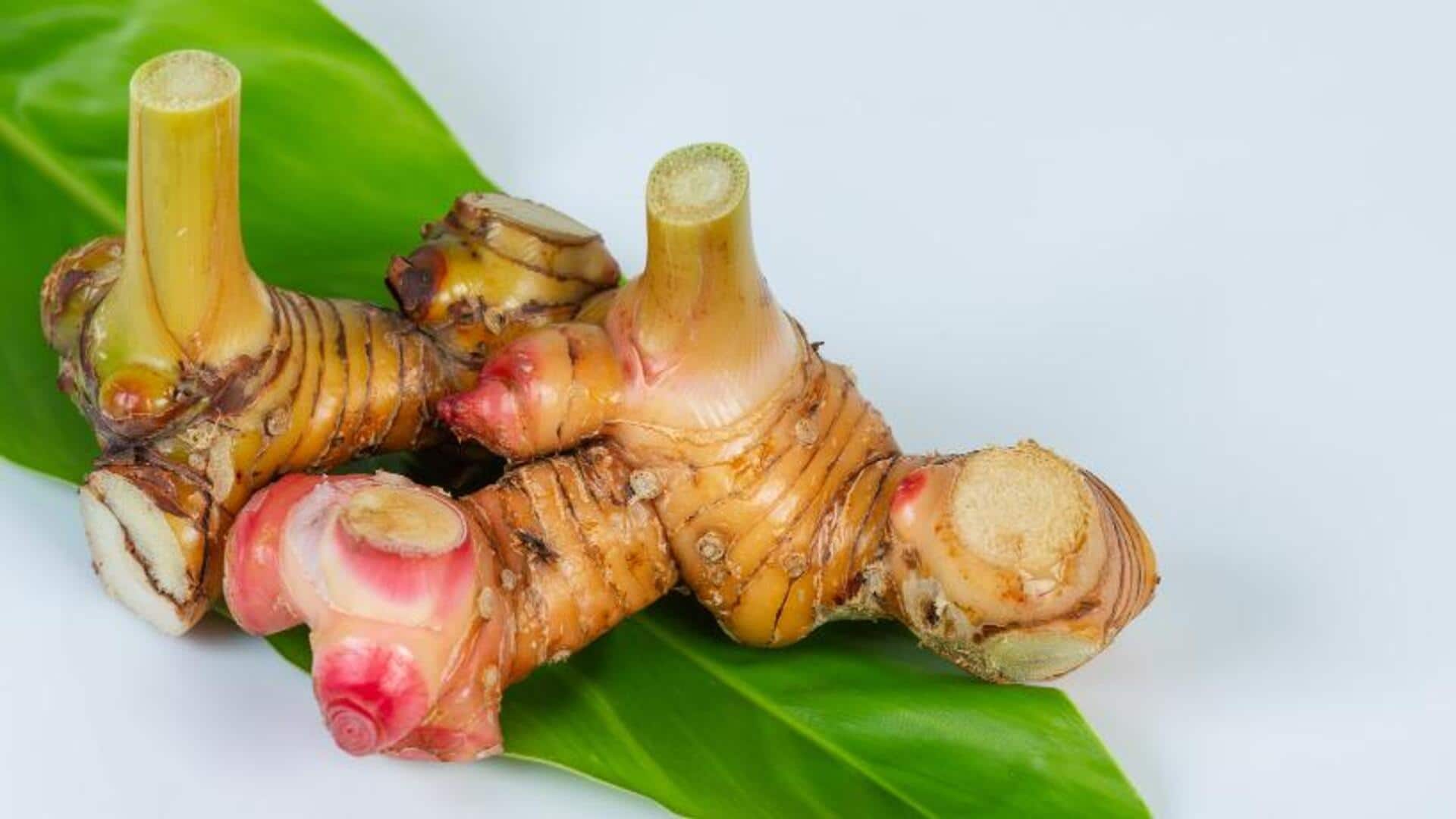 Rempah Unik untuk Memperkaya Beragam Hidangan Indonesia