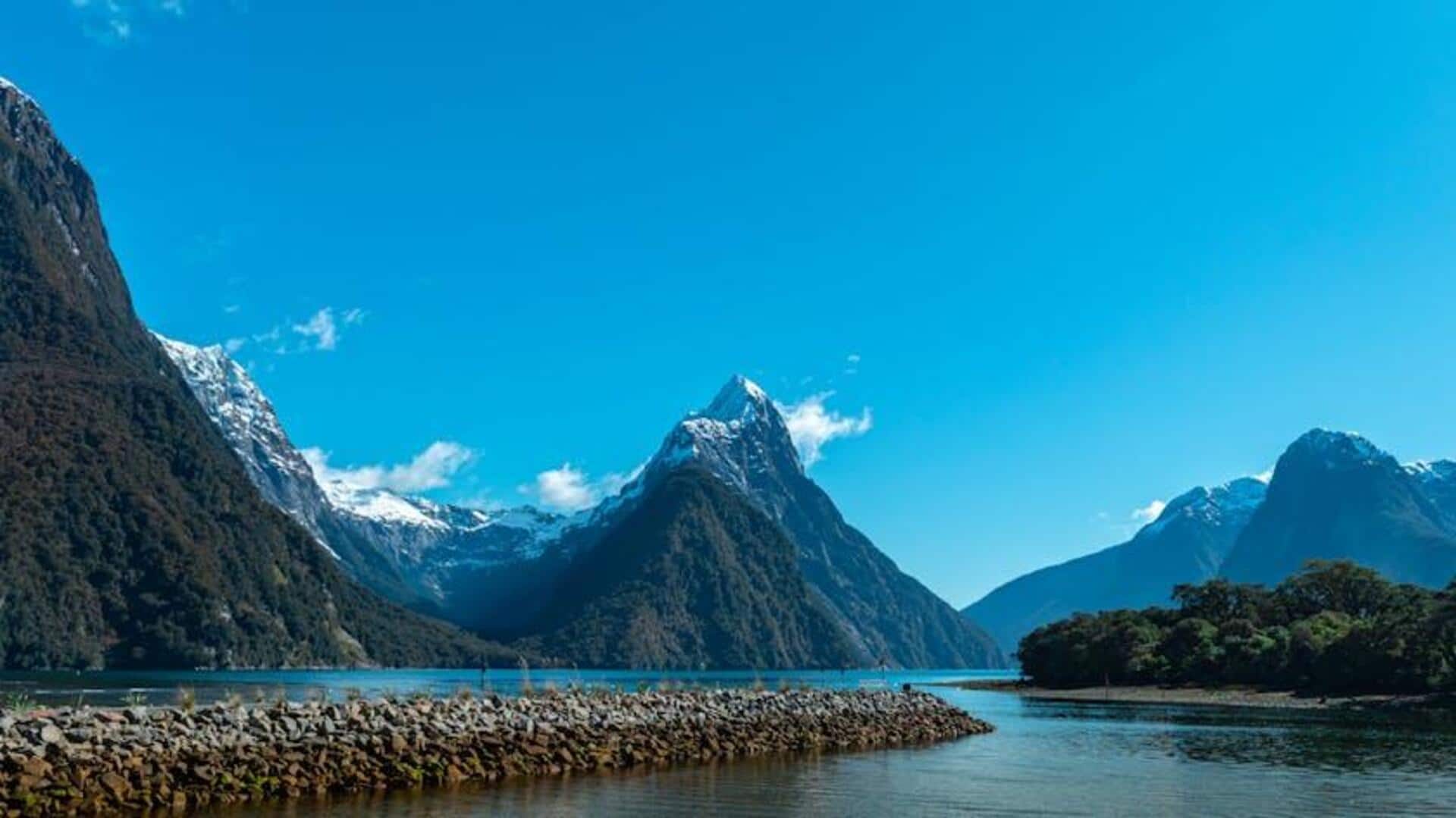 Menemukan Keindahan Fjord dan Hutan Hujan di Selandia Baru