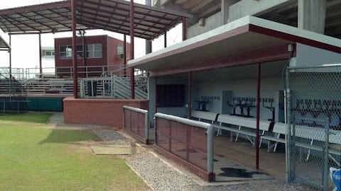 Mengapa dugout baseball dibangun di bawah tanah?