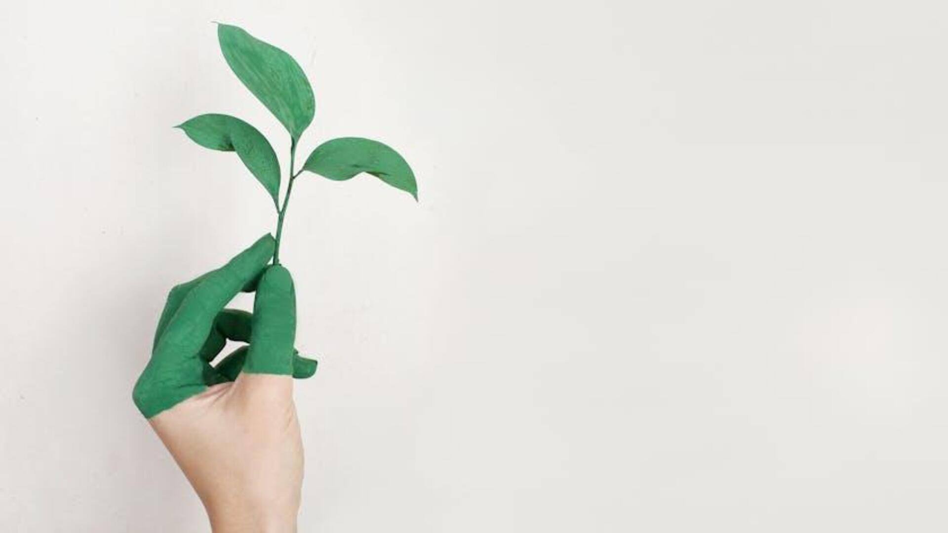 Inovasi Blockchain dalam Revolusi Keberlanjutan Lingkungan Global