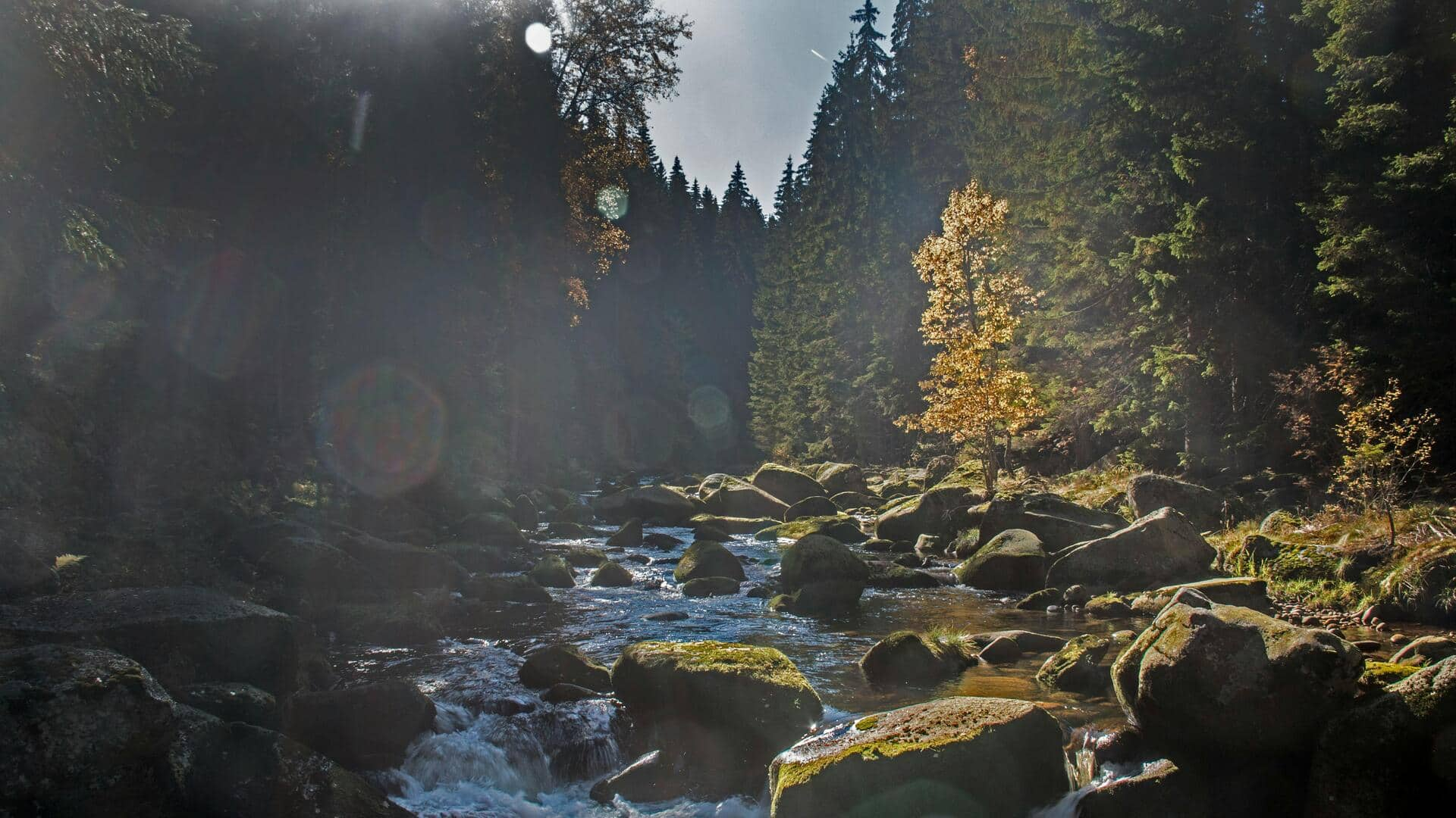 Menjelajahi Taman Nasional Sumava, Republik Ceko