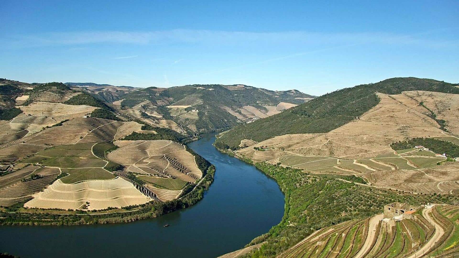 Mengunjungi Kebun Anggur dan Lembah Douro, Portugal