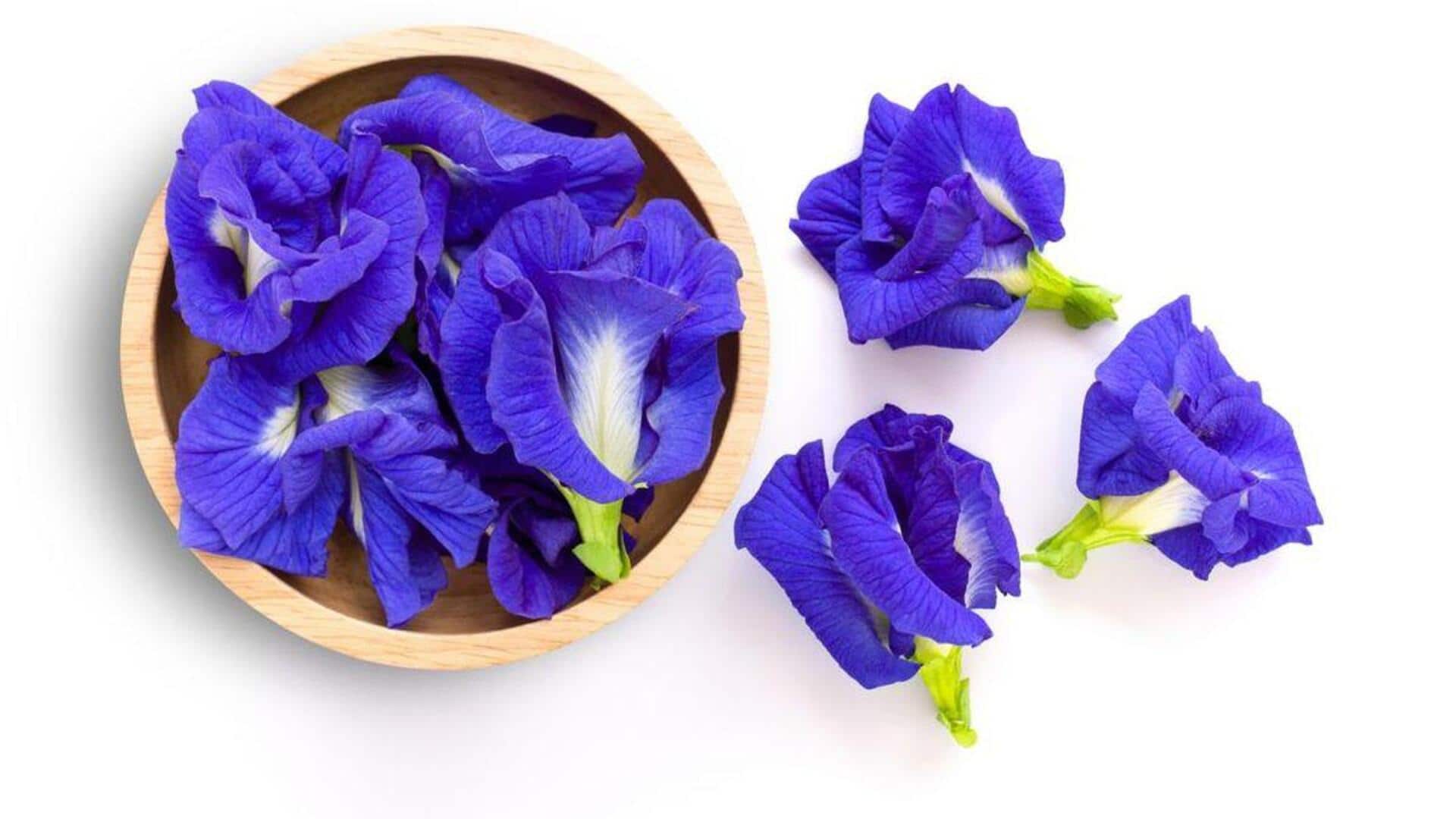 Menjelajahi Sederet Bunga yang dapat Dimakan di Indonesia