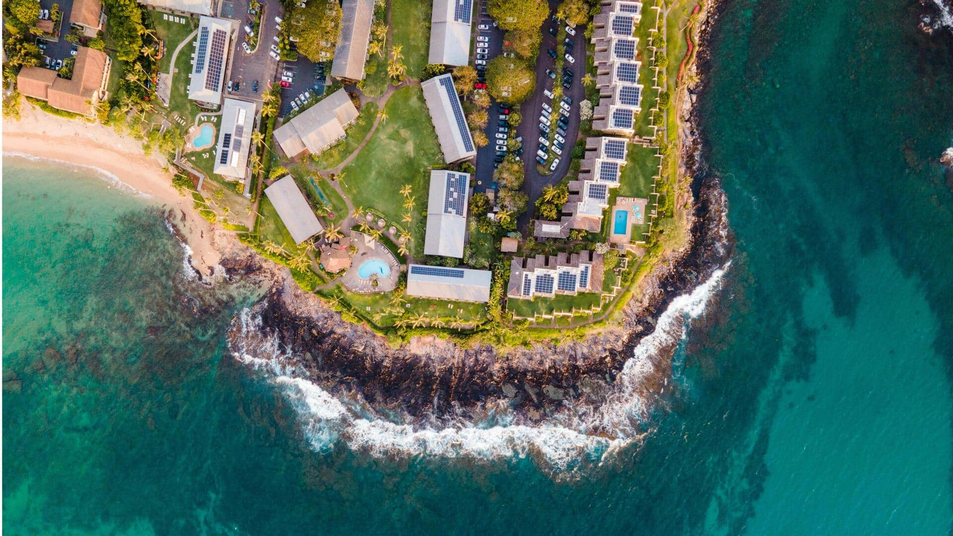 Menjelajahi Hutan Pohon Beringin Ajaib di Maui, Hawaii