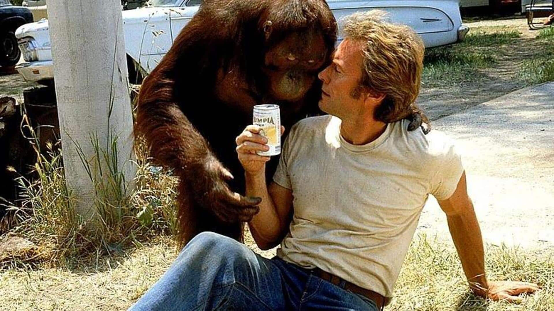 Film Hollywood dengan referensi hewan Indonesia