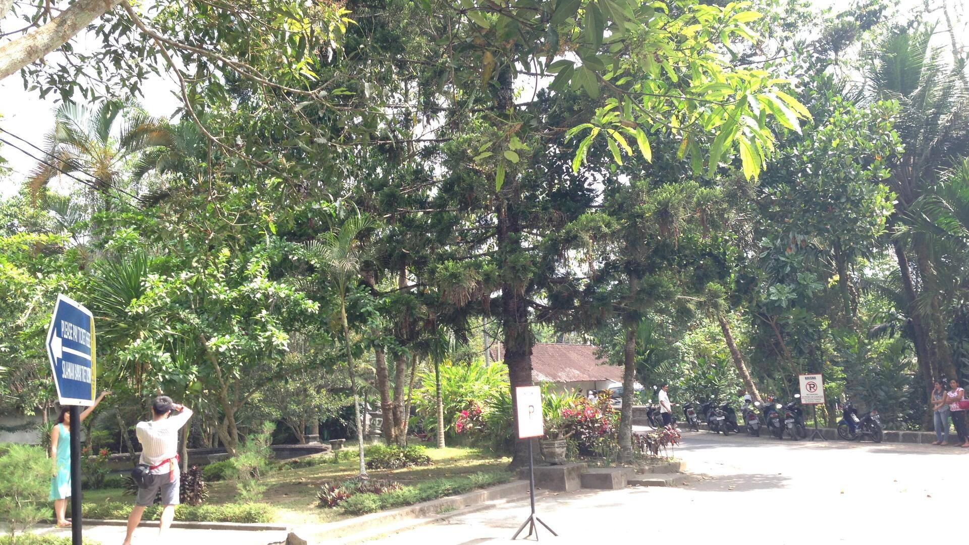 Menemukan keindahan tersembunyi di Gianyar Menemukan keindahan tersembunyi di Gianyar