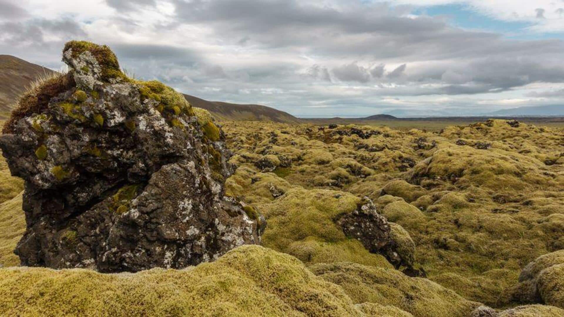 Menjelajahi Ladang Lava Islandia yang Menakjubkan