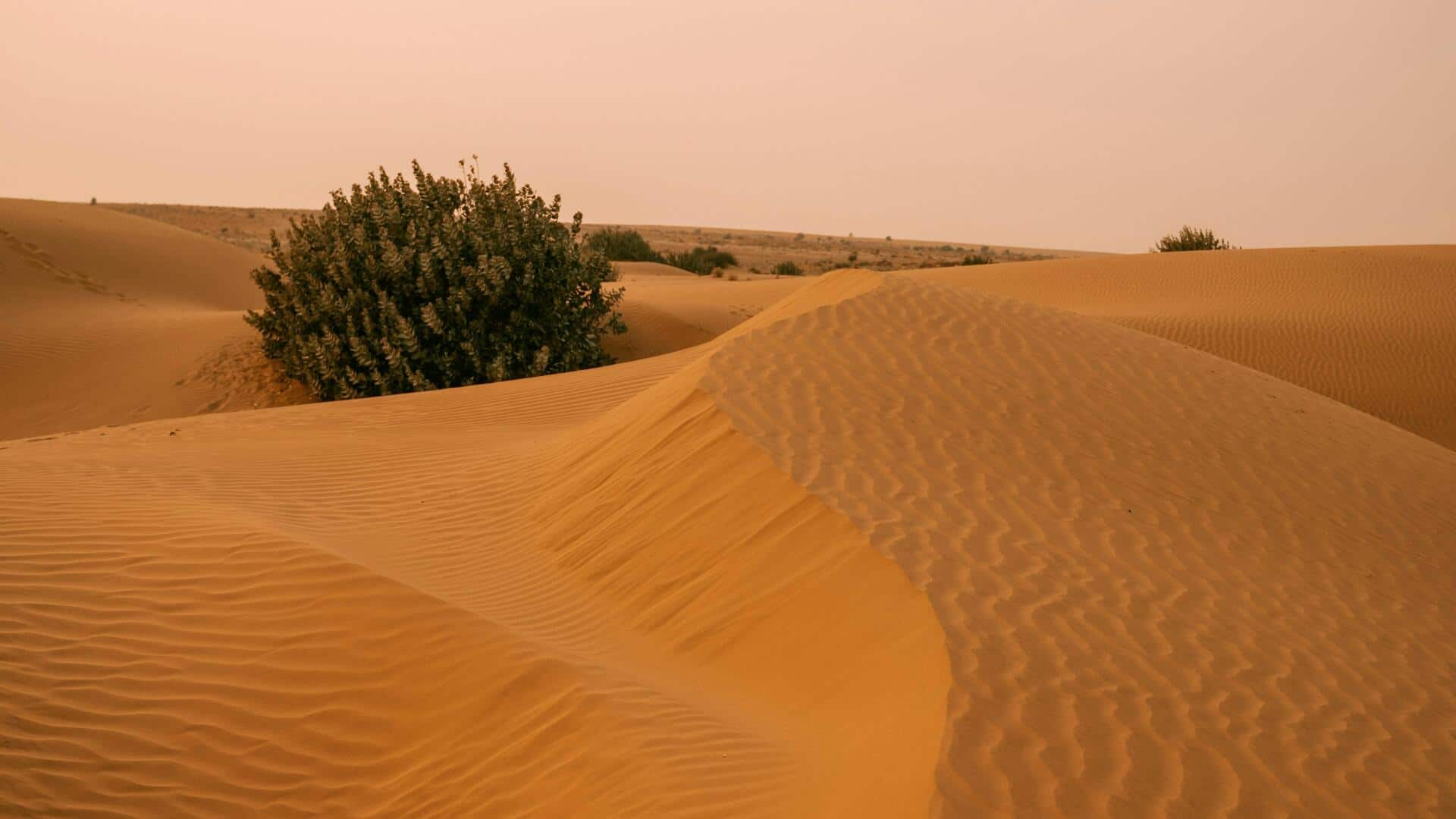 Menikmati Pengalaman Melihat Bintang di Gurun Thar, Rajasthan, India