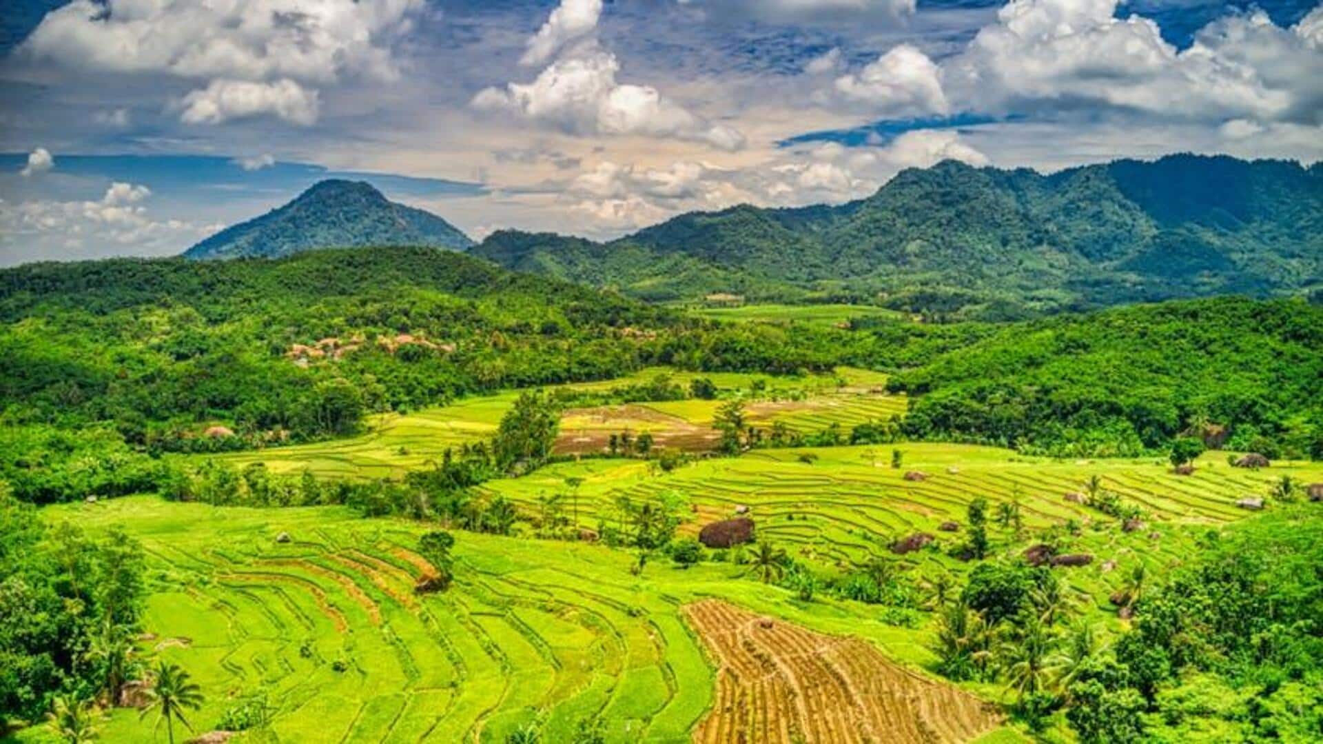 Menjelajahi Desa-Desa di Jawa untuk Pengalaman Lokal yang Luar Biasa Menjelajahi Desa-Desa di Jawa untuk Pengalaman Lokal yang Luar Biasa