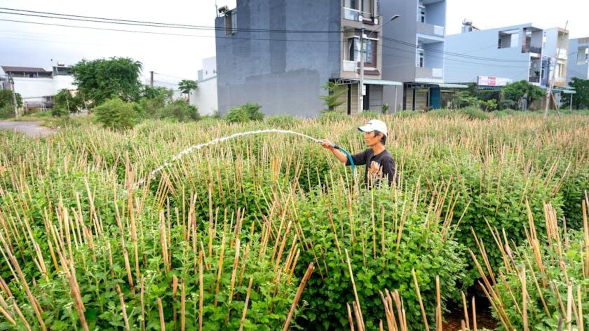 Aplikasi Menarik Air Daur Ulang di Pertanian Perkotaan