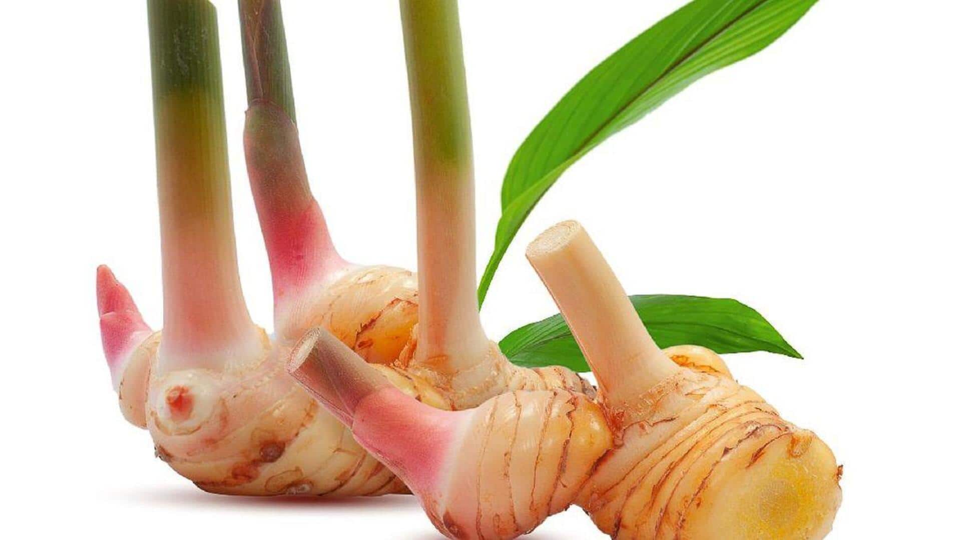 Menjelajahi Rempah-Rempah Jawa yang Melezatkan Beragam Masakan