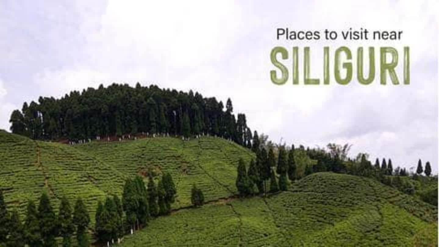 5 destinasi yang patut dikunjungi di sekitaran Siliguri, India