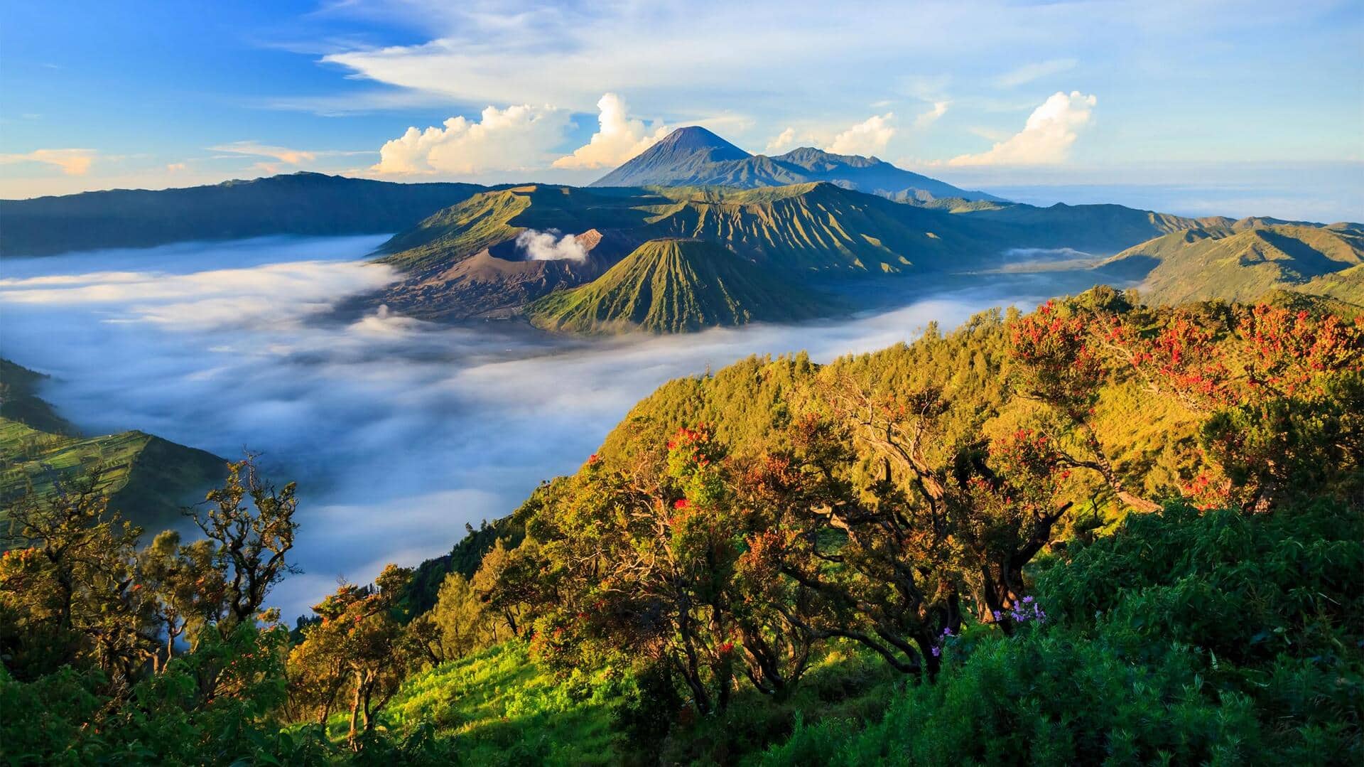 Menjelajahi Jalur Indah yang Tersembunyi di Dalam Hutan Bersejarah Indonesia Menjelajahi Jalur Indah yang Tersembunyi di Dalam Hutan Bersejarah Indonesia