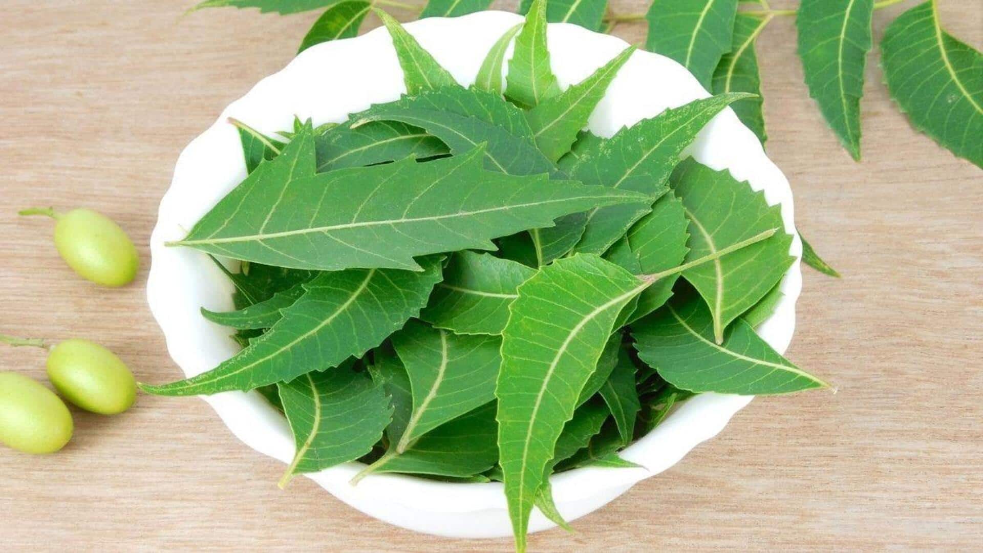 Manfaat Tersembunyi Daun Neem di Dapur India