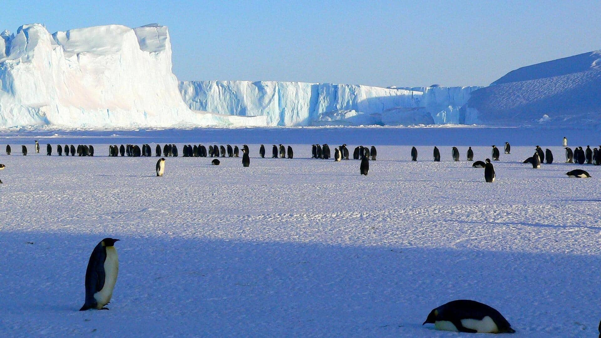 Mengapa Antartika tidak Memiliki Zona Waktu Resmi?