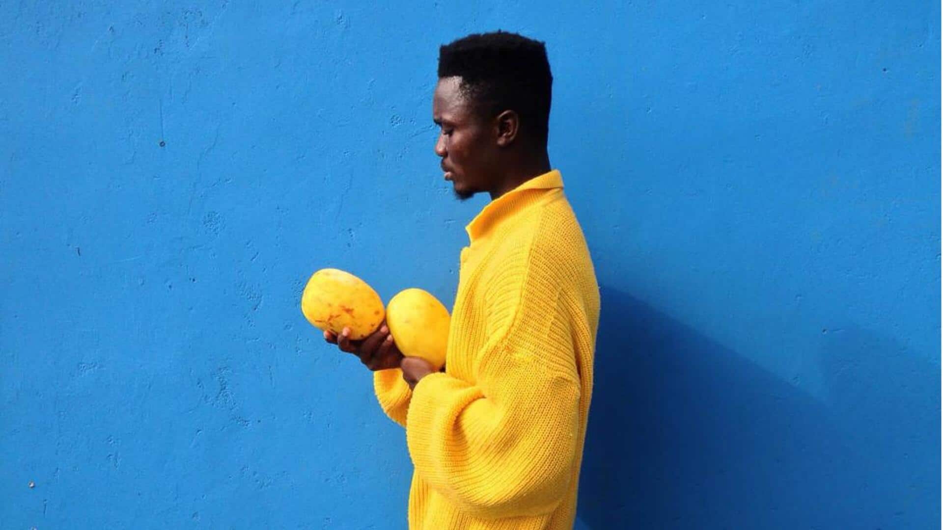 Tingkatkan Kualitas Fotografi Anda dengan Menguasai Kontras Warna