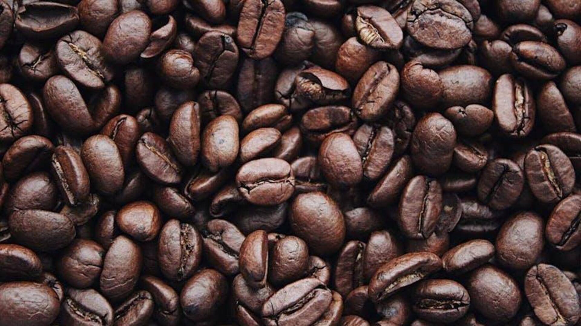 Menemukan Perkebunan Kopi Tersembunyi di Indonesia Menemukan Perkebunan Kopi Tersembunyi di Indonesia