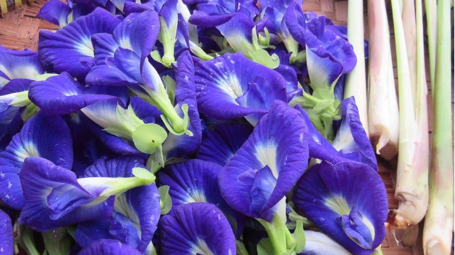 Menikmati Hidangan Indonesia dengan Perpaduan Bunga yang Menakjubkan