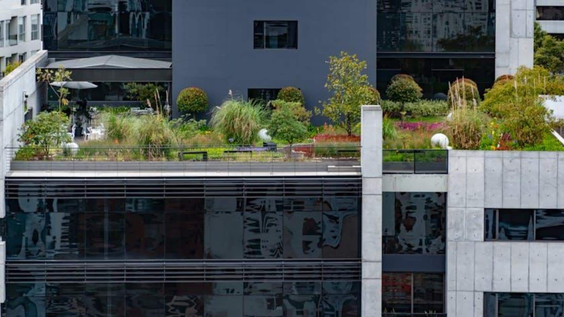 Manfaat Mengejutkan Arsitektur yang Terinspirasi Alam di Lingkungan Perkotaan