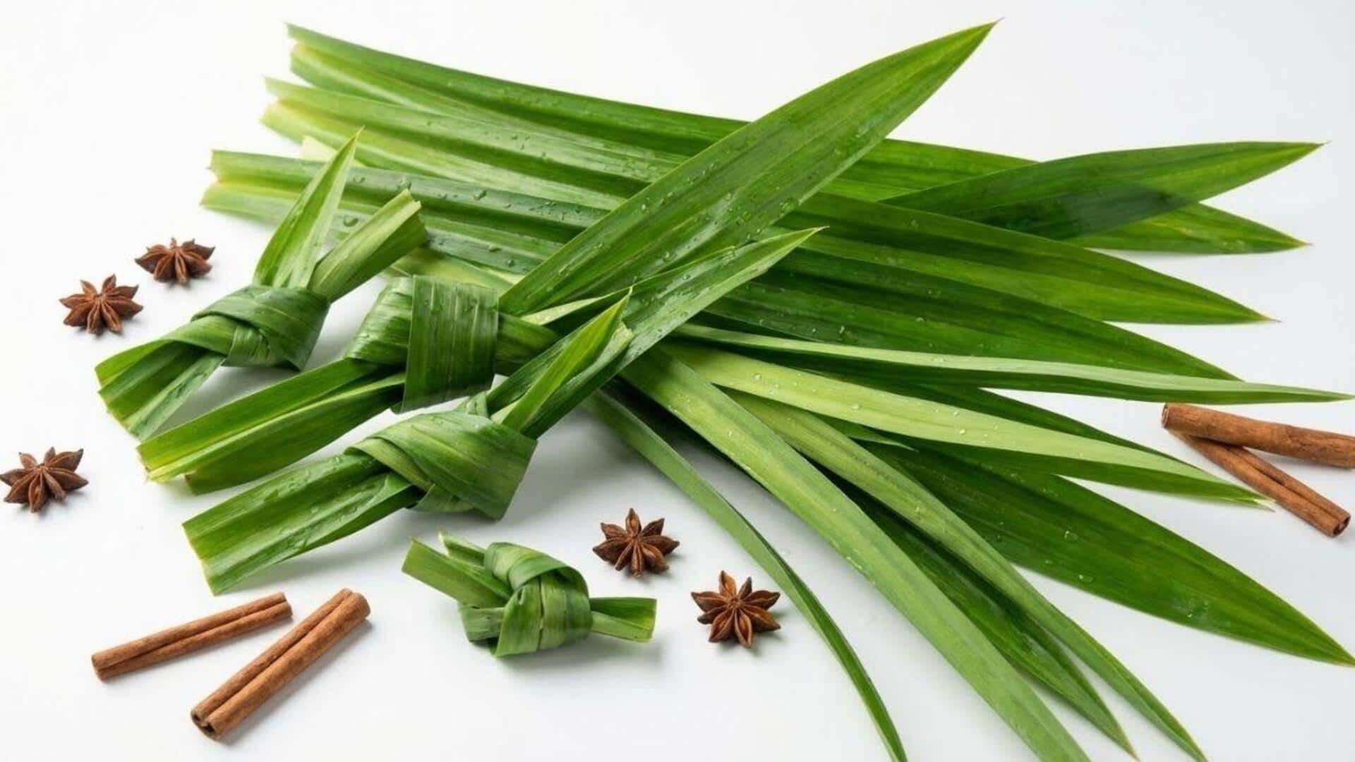 Sederet Daun Rempah untuk Menambahkan Aroma pada Masakan Anda 