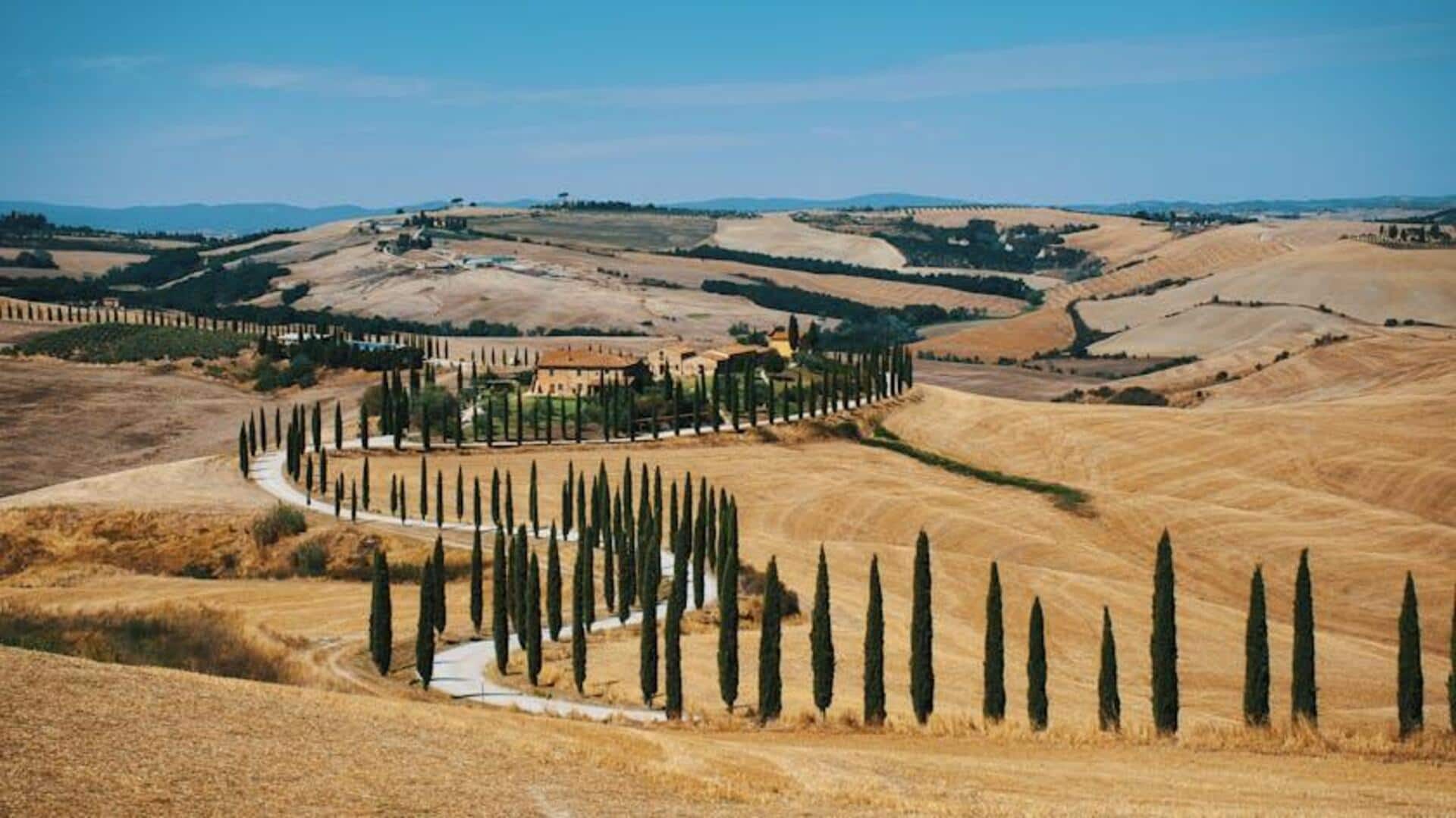 Menjelajahi Jalur Taman Rahasia dan Kebun Zaitun di Tuscany