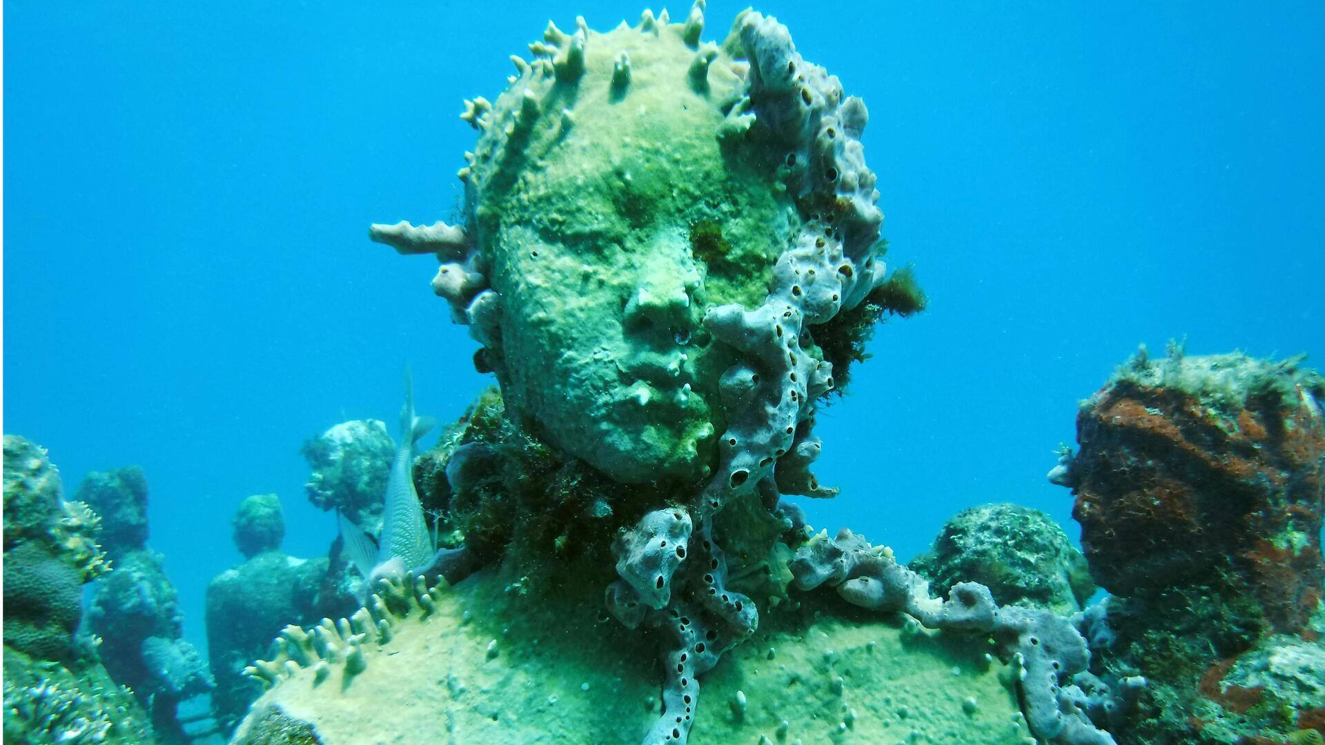 Terumbu Buatan: Desain Digital untuk Keanekaragaman Hayati Laut