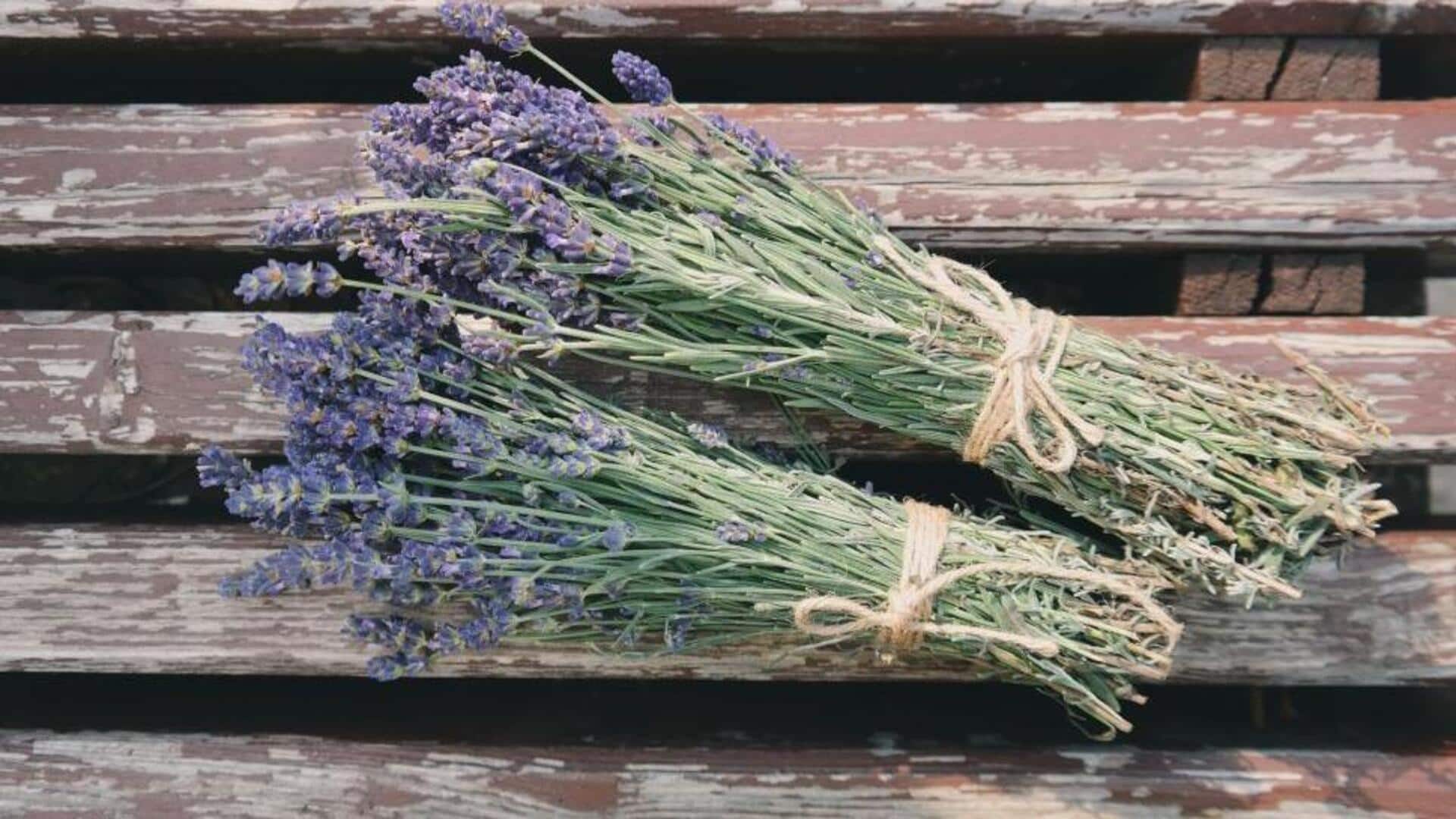 Buket lavender: Pengusir ngengat alami untuk lemari dan laci