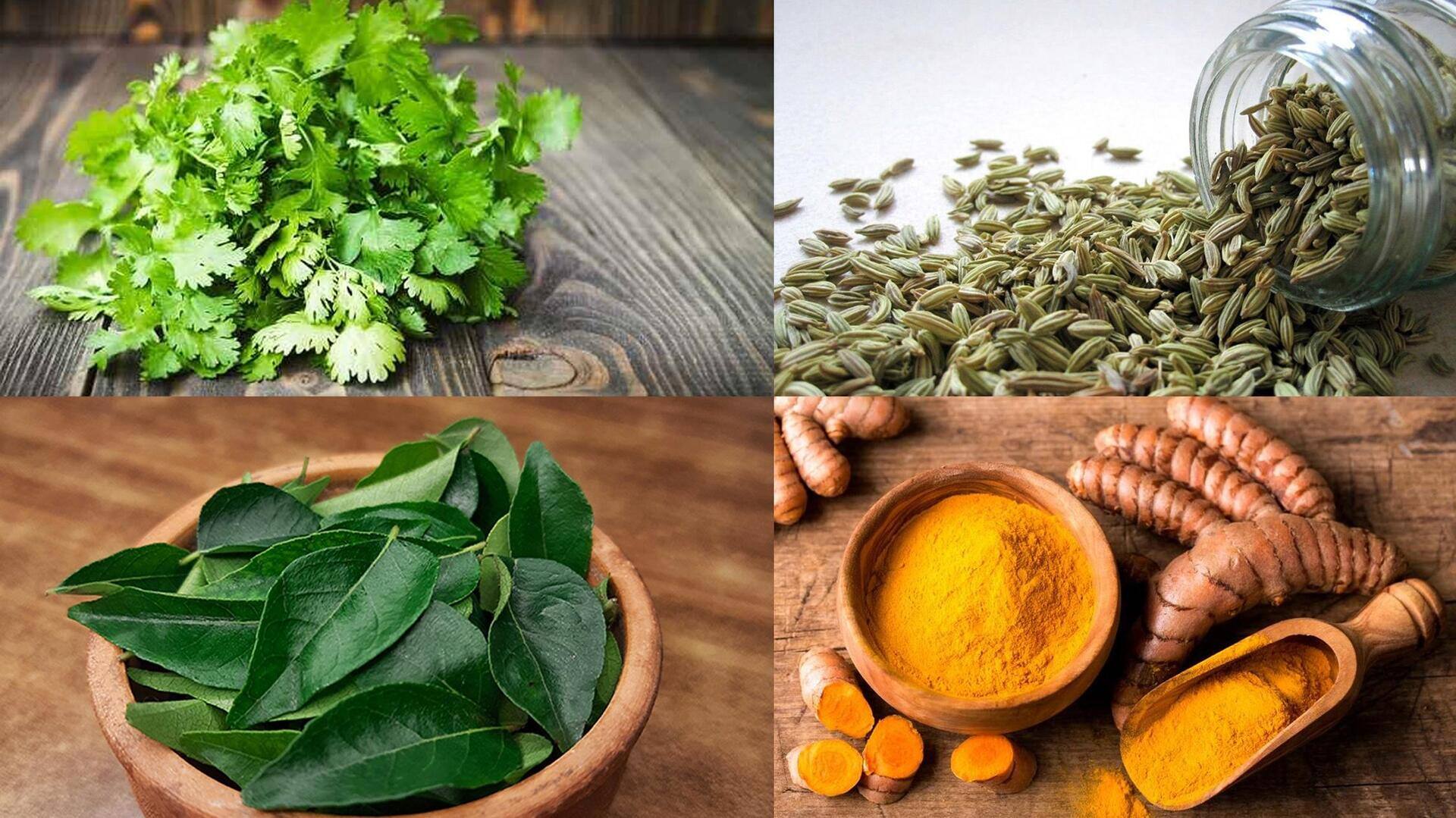 Sederet Herbal Penting Dalam Masakan Khas Gujarat