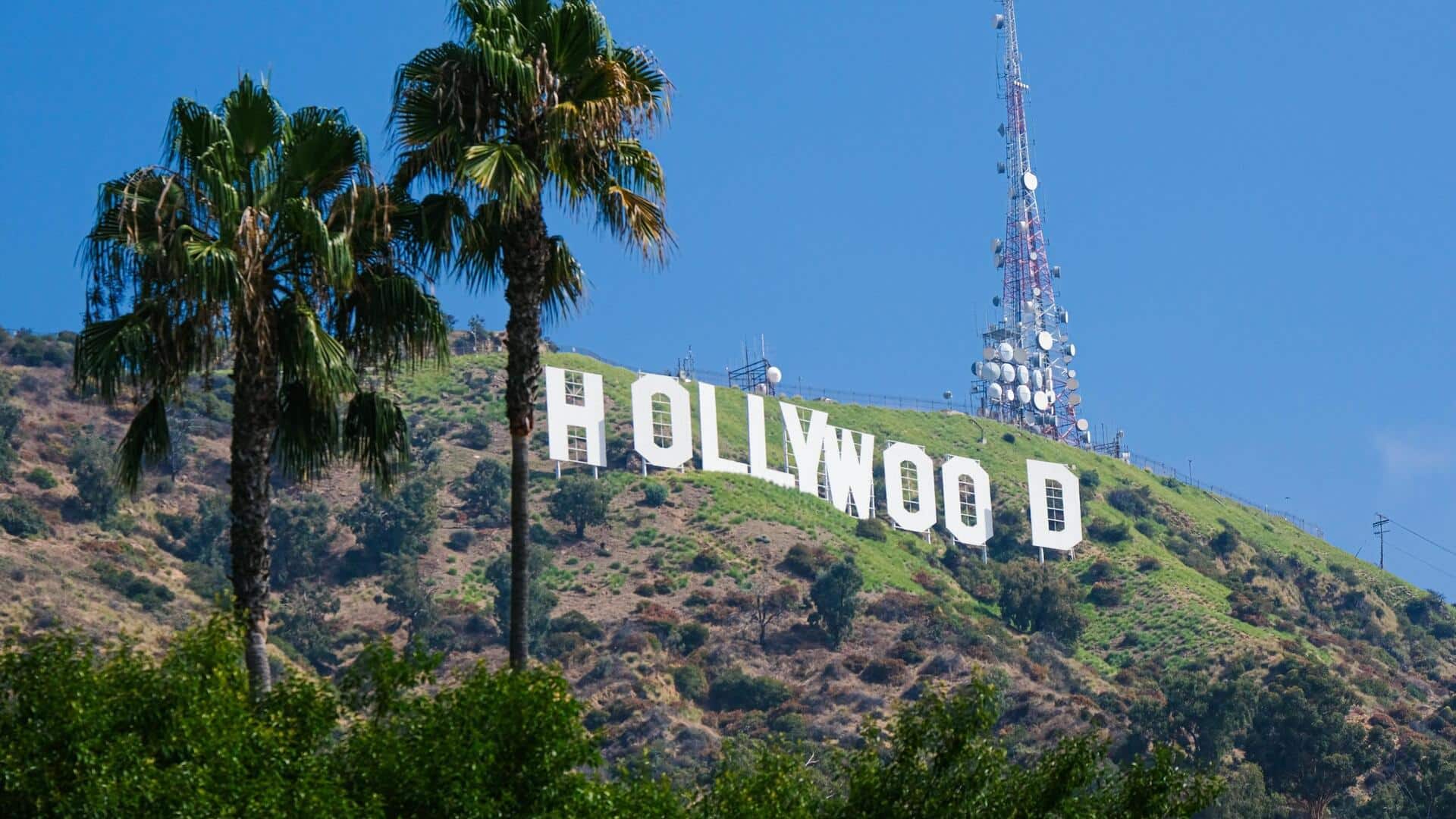 Fakta menarik tentang pohon palem Hollywood