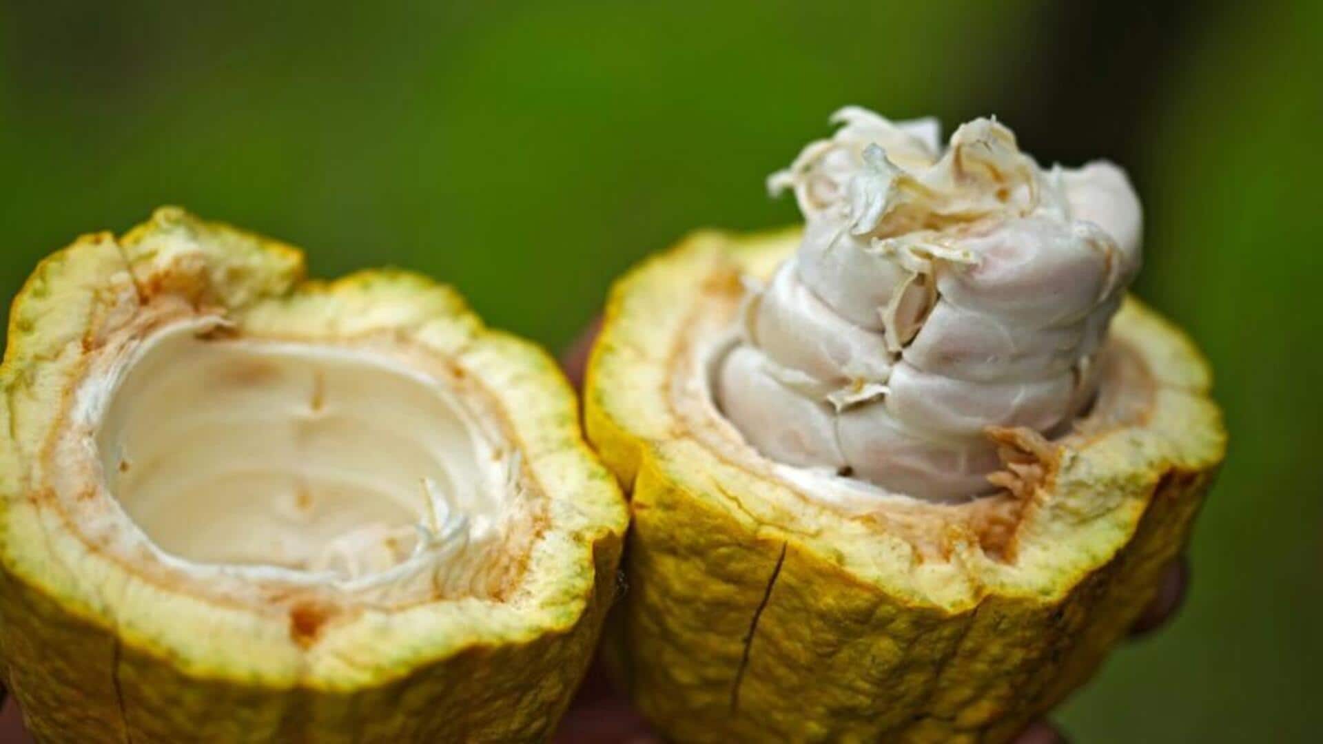 Lima Hidangan Penutup Unik dengan Bahan Dasar Pulpa Kakao