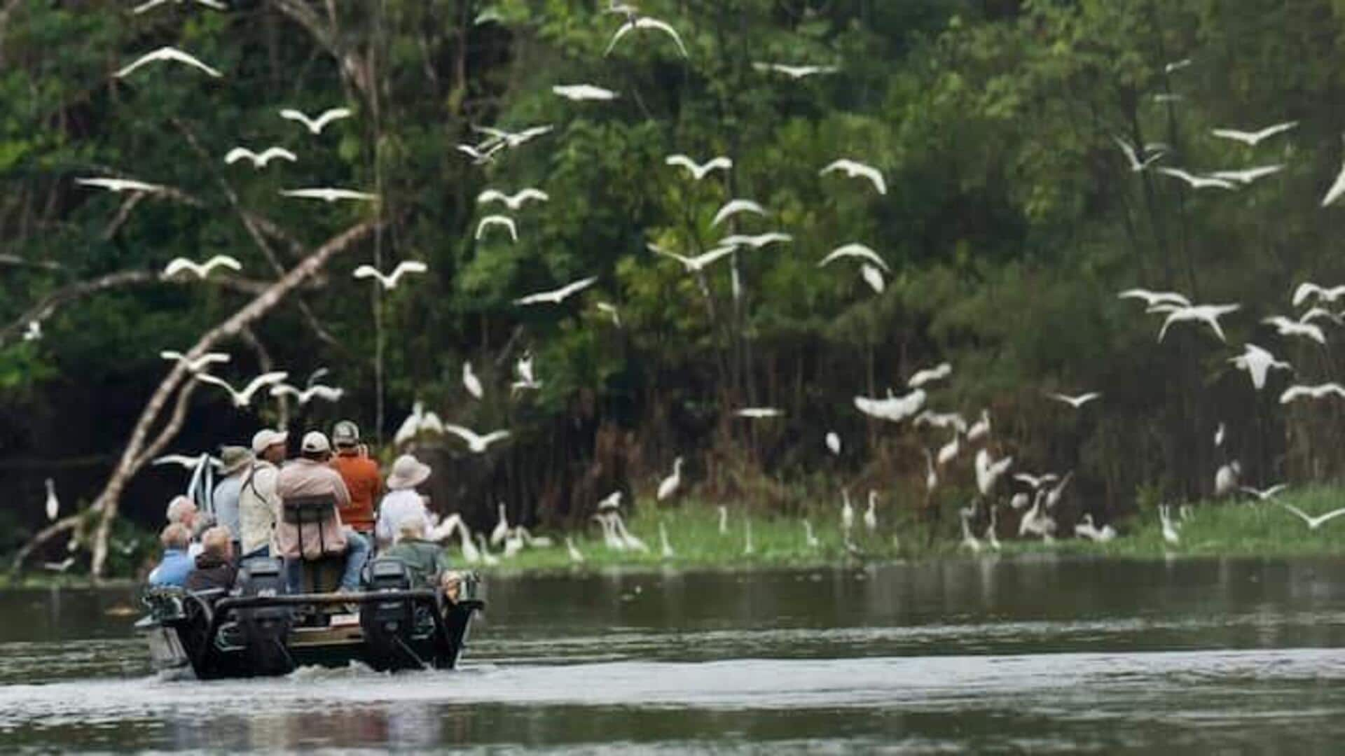 Menikmati Safari Hutan Amazon Di Brasil