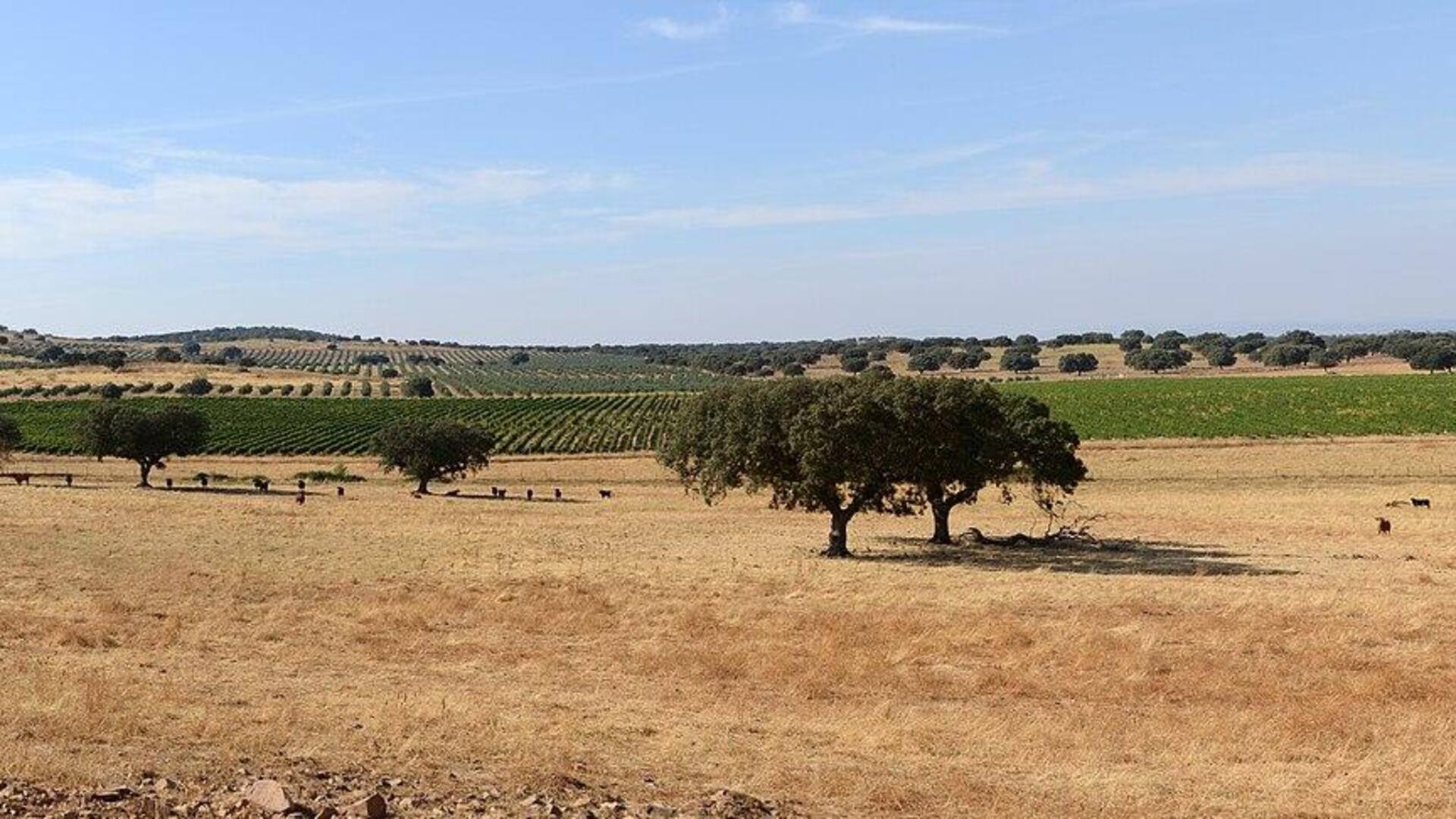 Pelarian Tenang di Alentejo, Portugal