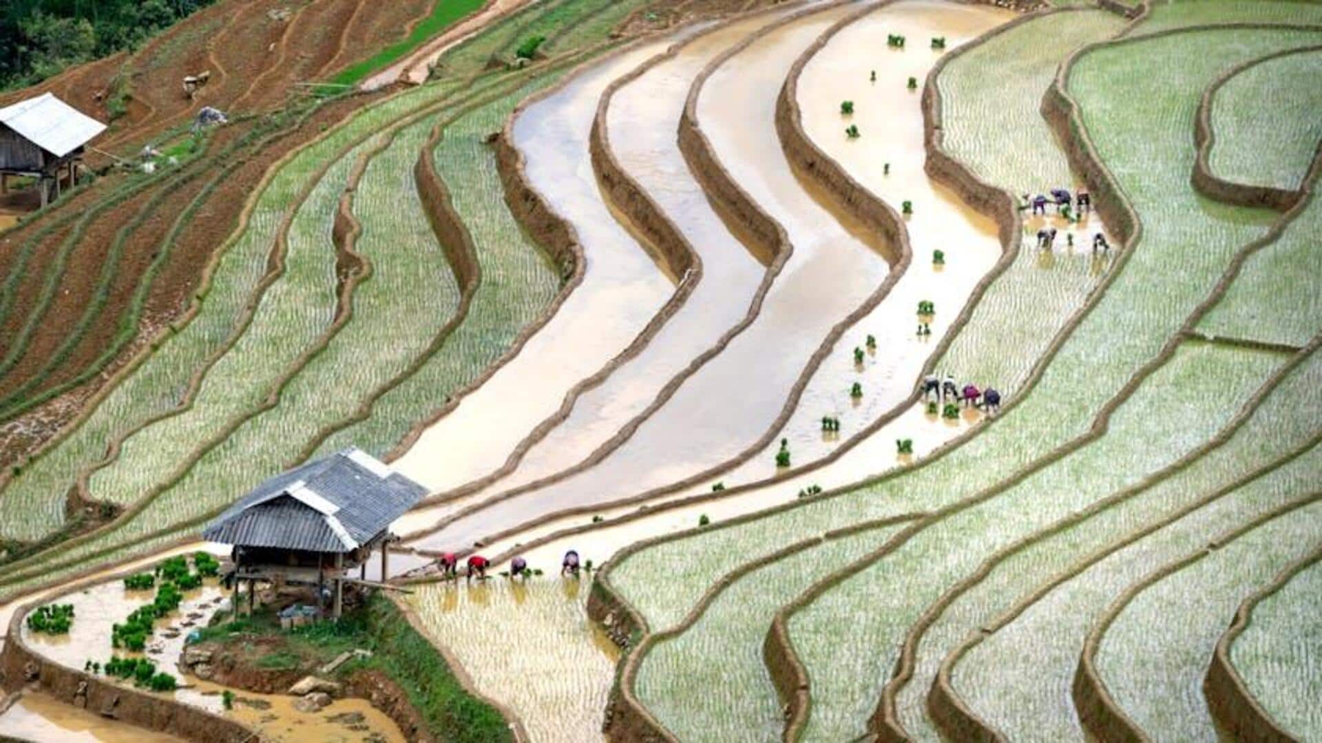 Lima Sensor Tanpa Baterai yang Mengejutkan di Seluruh Dunia