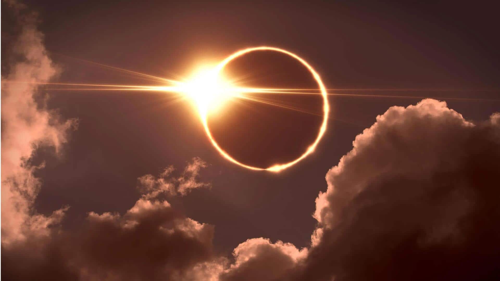 Mengungkap Dampak yang Unik dari Gerhana terhadap Perilaku Hewan
