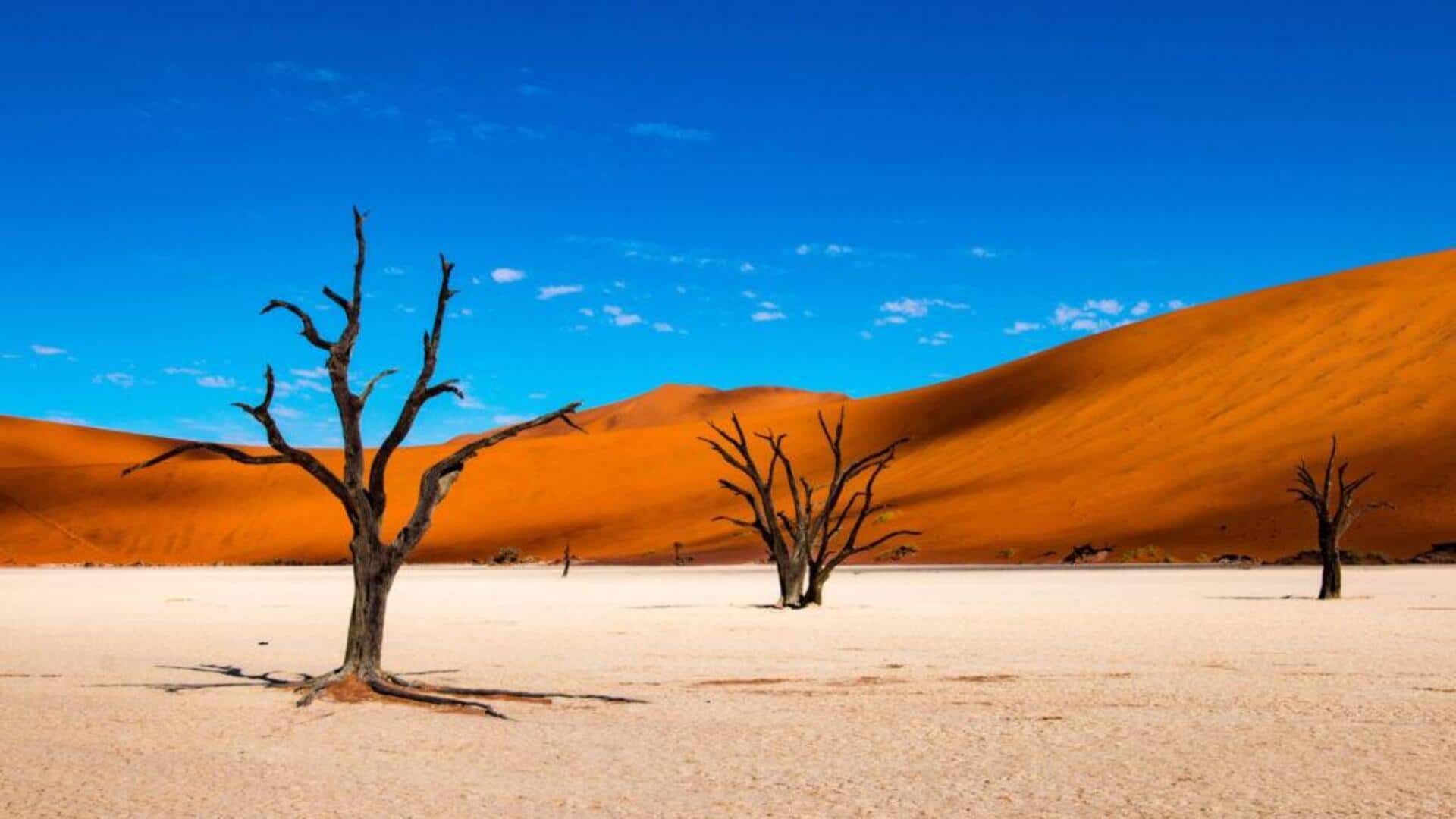 Menjelajahi Keindahan Sossusvlei, Namibia