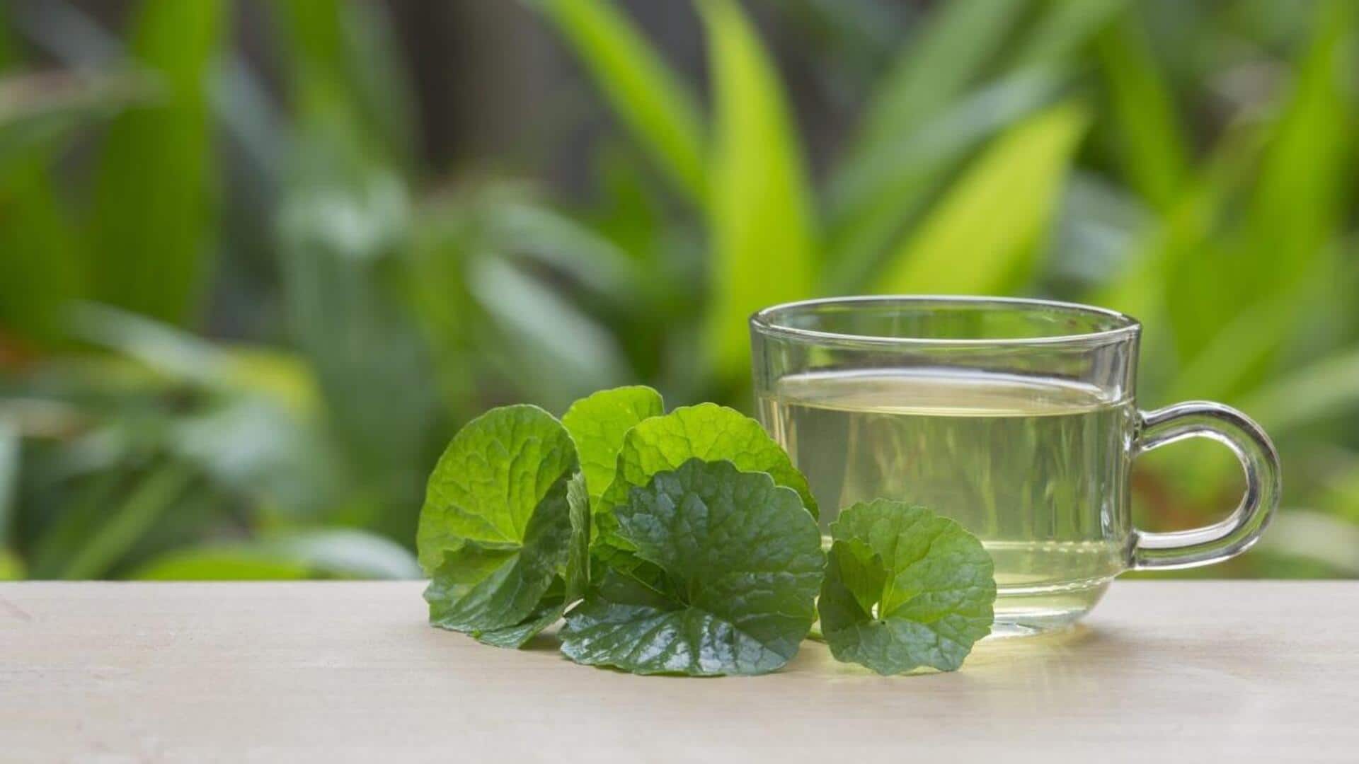 Lima Resep Minuman Berbasis Daun Pegagan yang Segar dan Unik