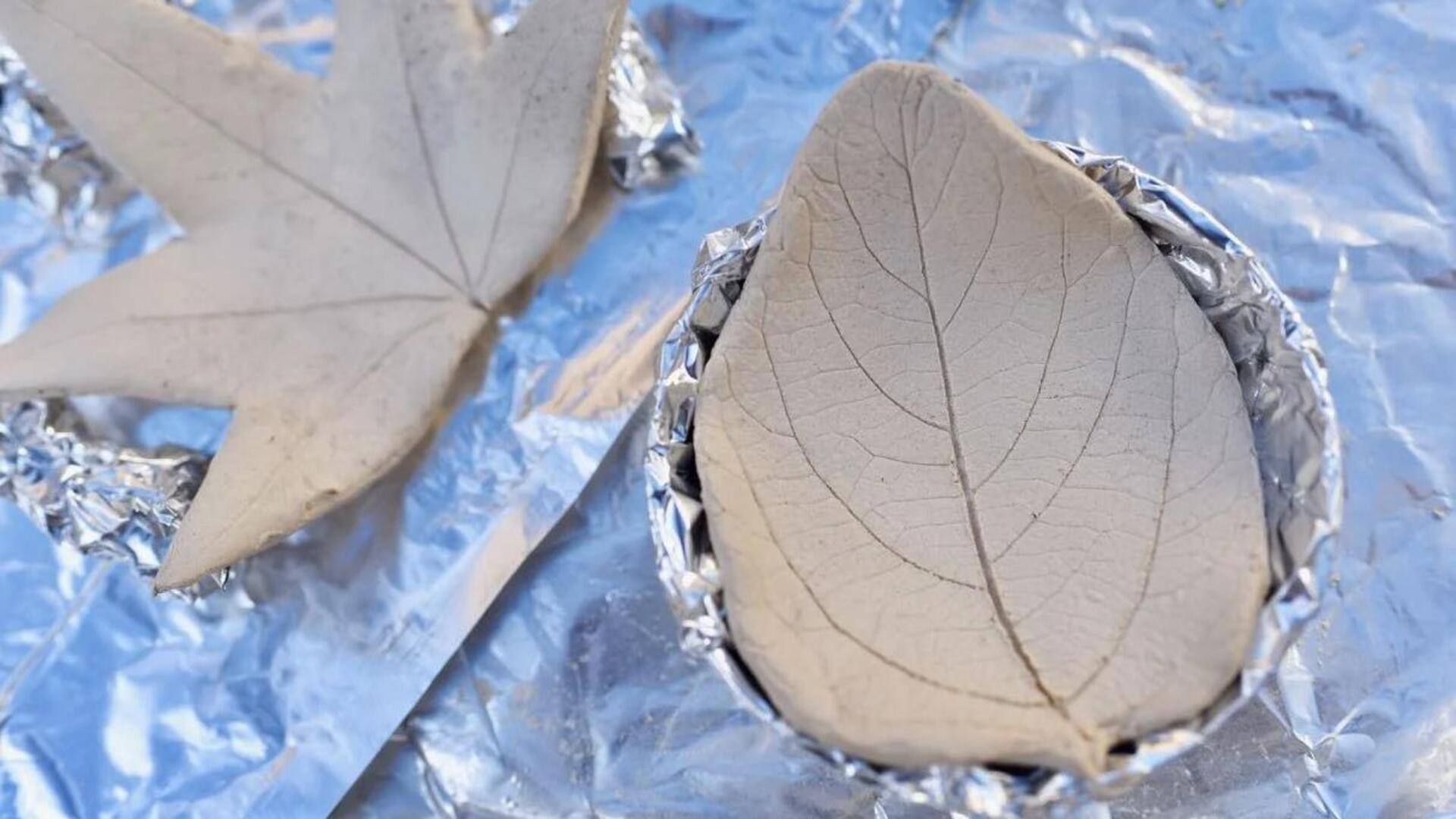 Lima Ide Dekorasi yang Terinspirasi Alam untuk Dibuat di Rumah