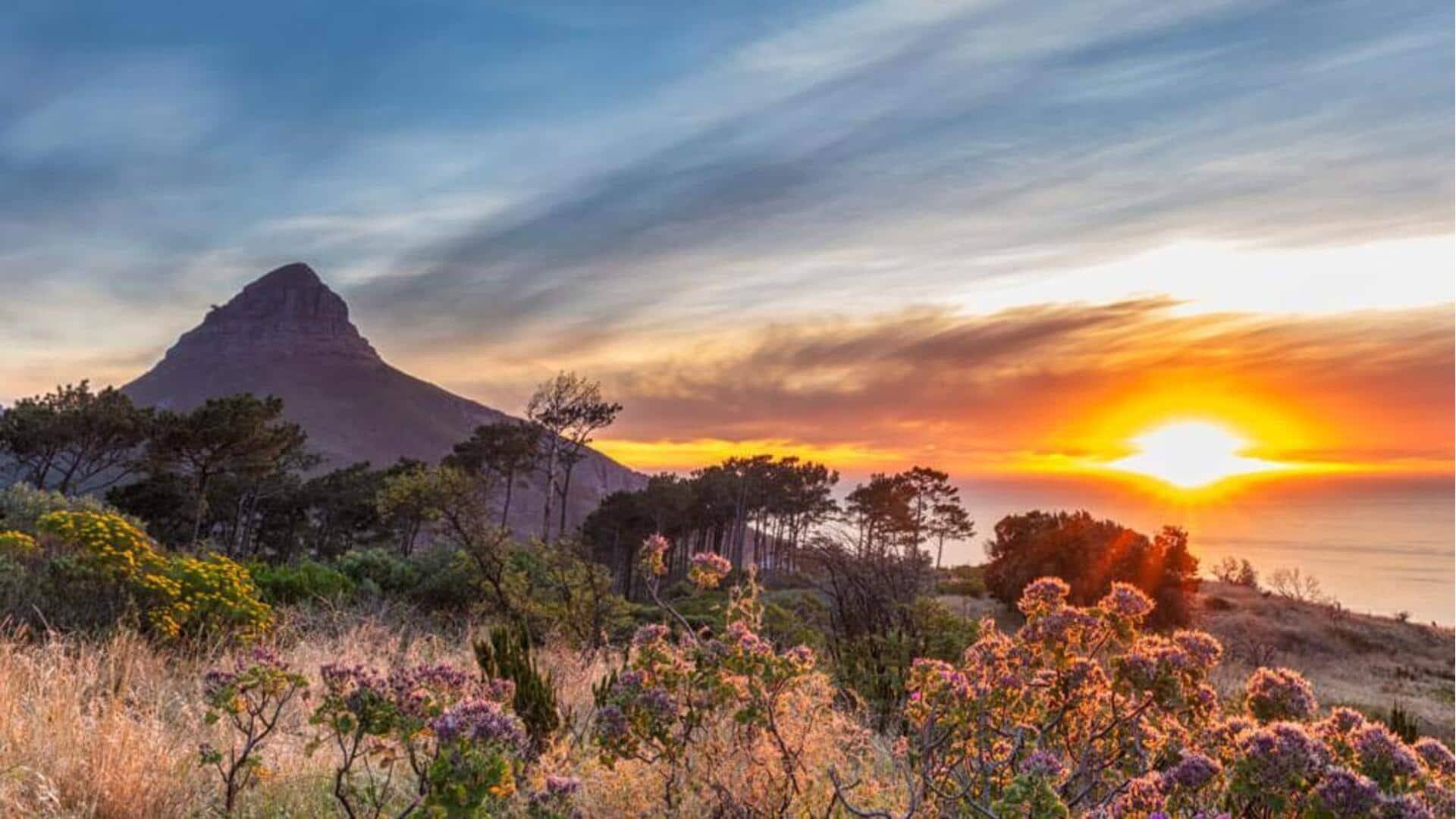 Panduan untuk menyaksikan kemegahan matahari terbenam Cape Town yang terbaik
