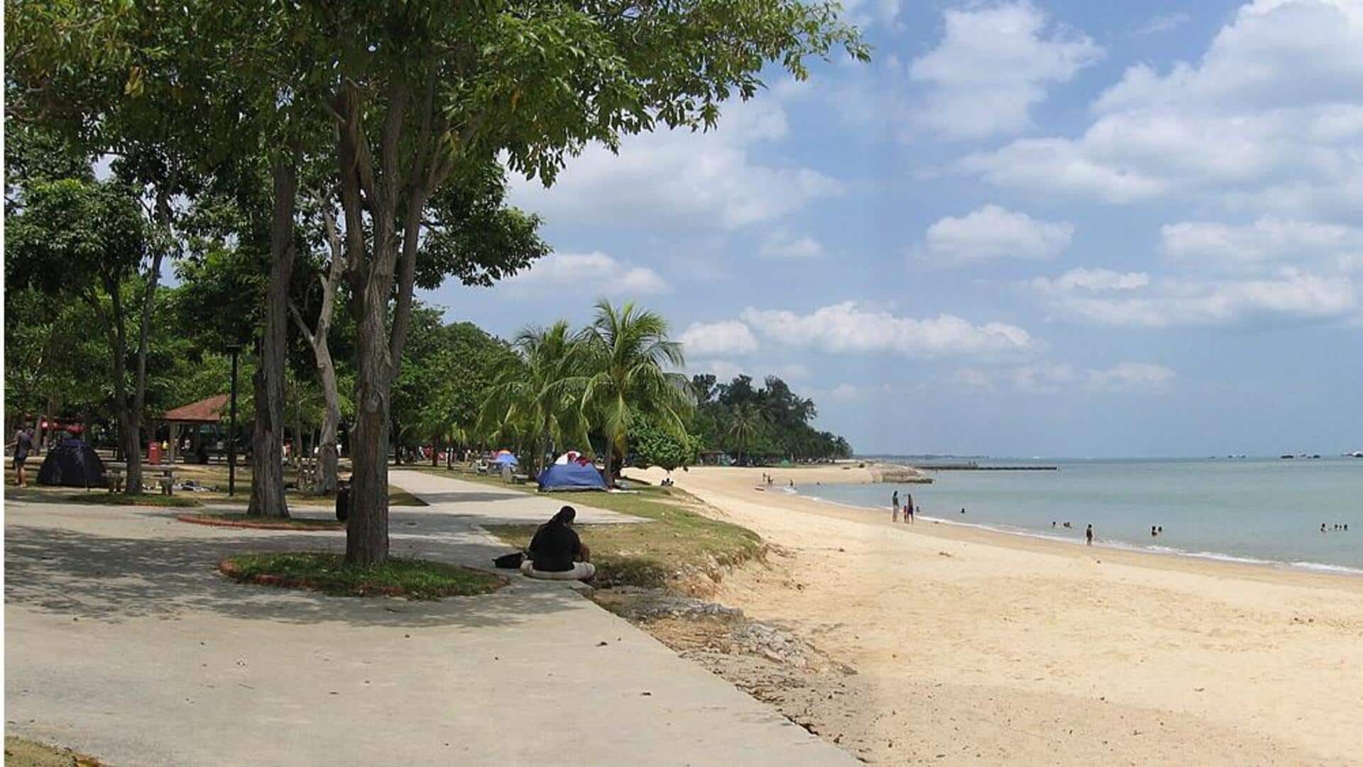 Taman Tropis Singapura: Surga Tersembunyi di Hutan Kota