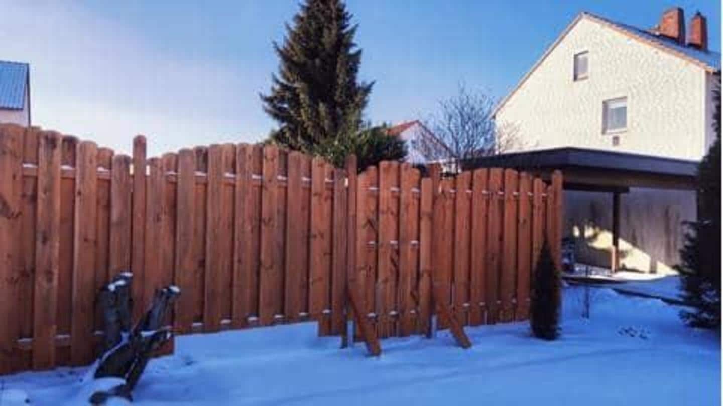 5 cara mempercantik pagar halaman belakang