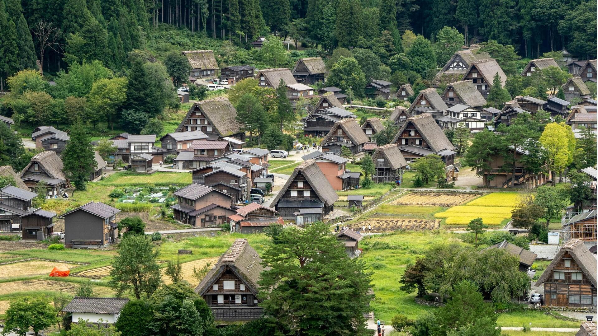 Menjelajahi Kehidupan Desa di Jepang