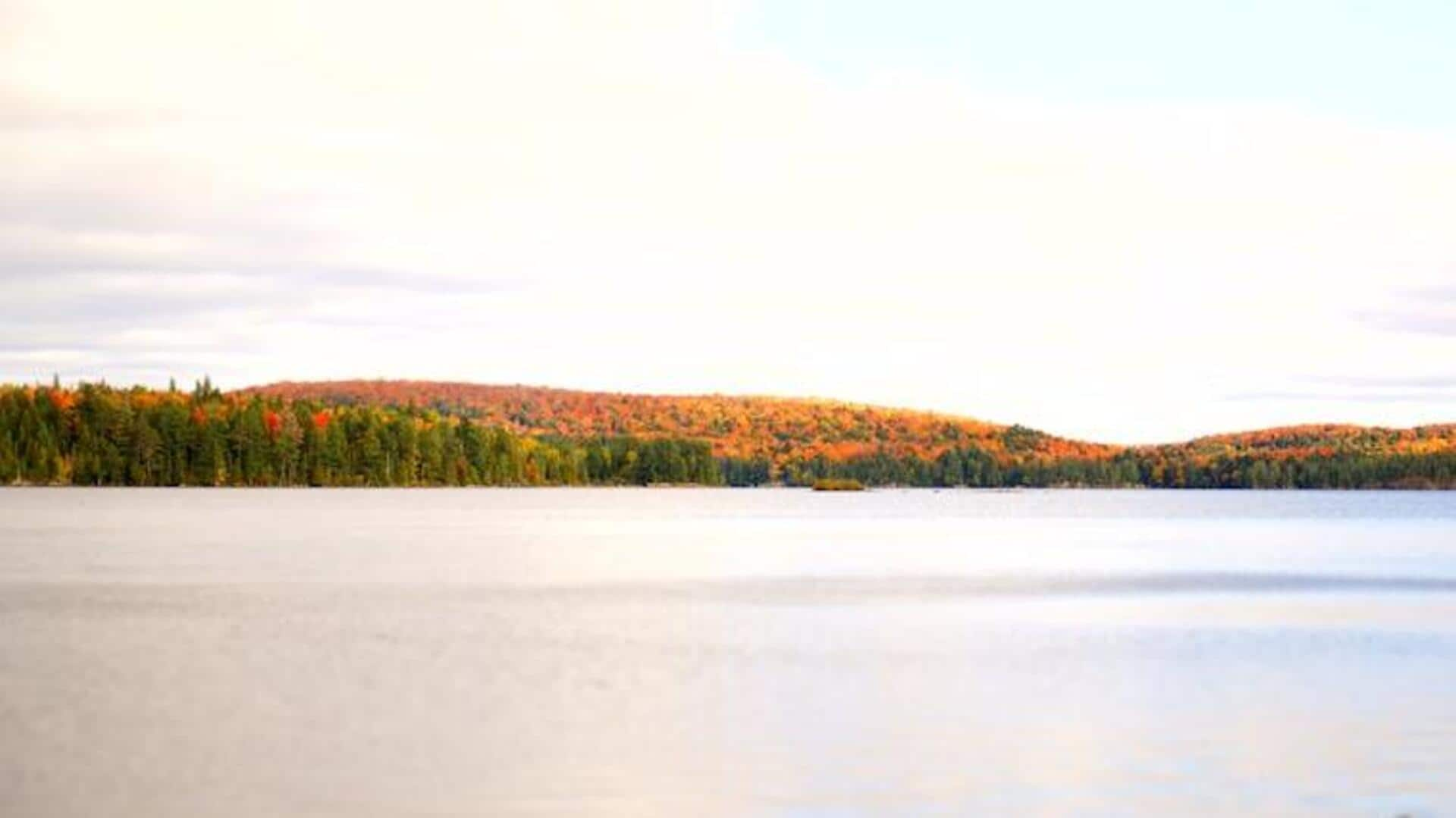 Menjelajahi Keindahan Alam Temagami, Ontario, Kanada