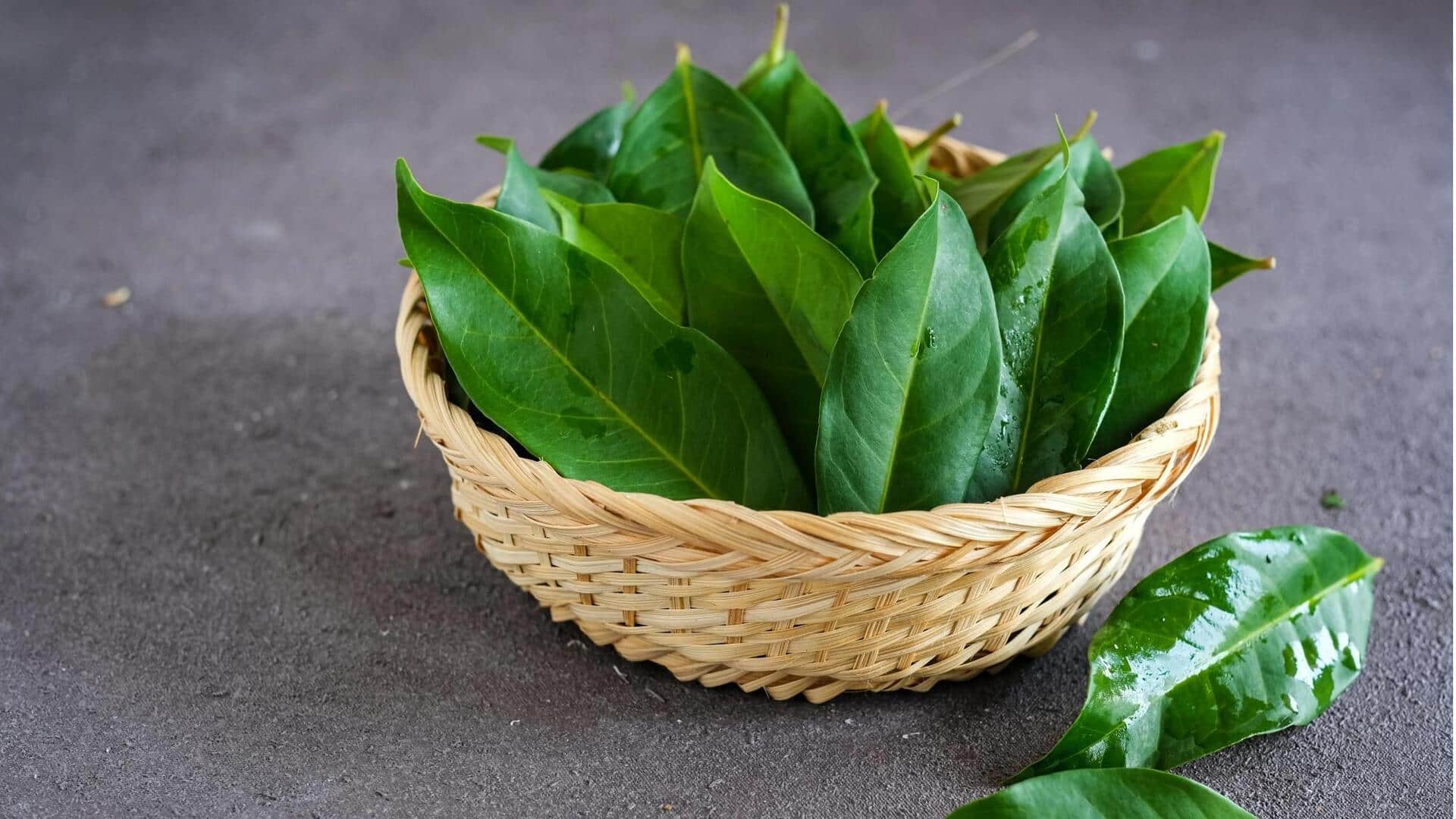 Temukan Herbal Unik untuk Masakan Indonesia yang Autentik