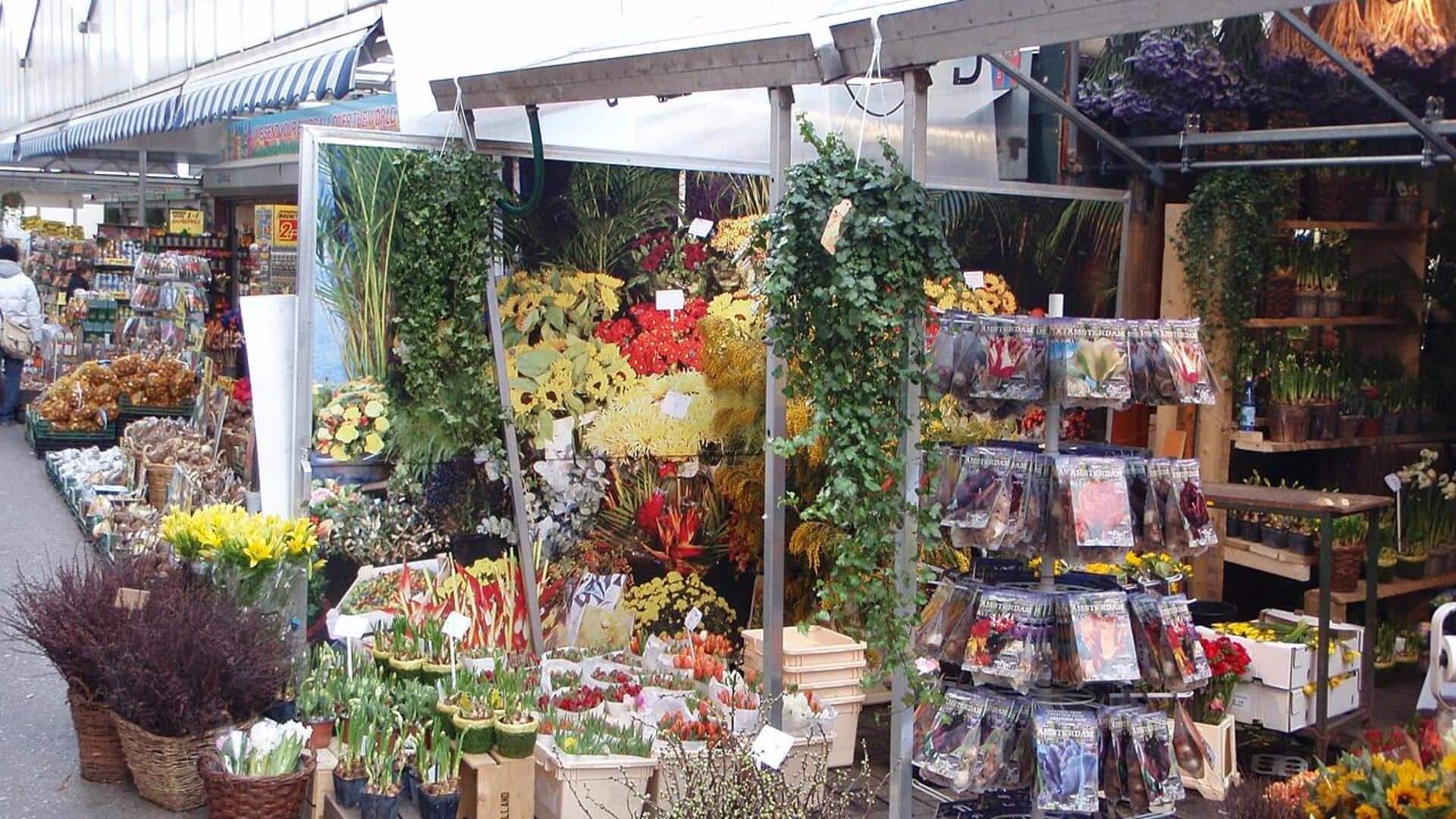 Menjelajahi Pasar Bunga Amsterdam yang Berwarna-Warni