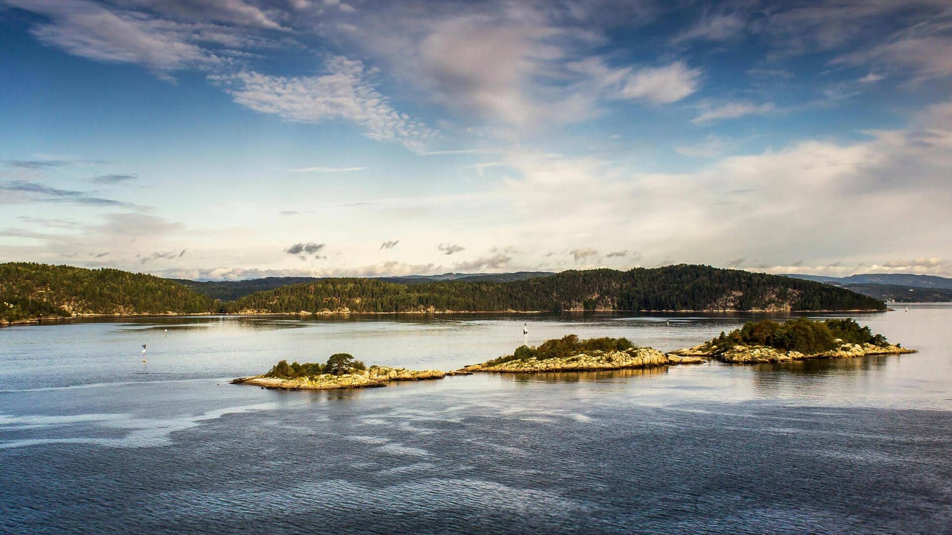 Taman Margasatwa Oslo: Menikmati Alam Norwegia di Kota