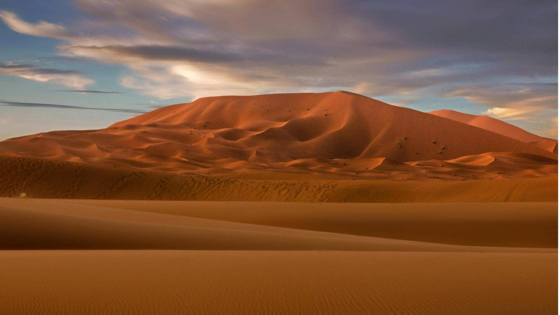 Menjelajahi Lanskap Terakota Bojador, Sahara Barat