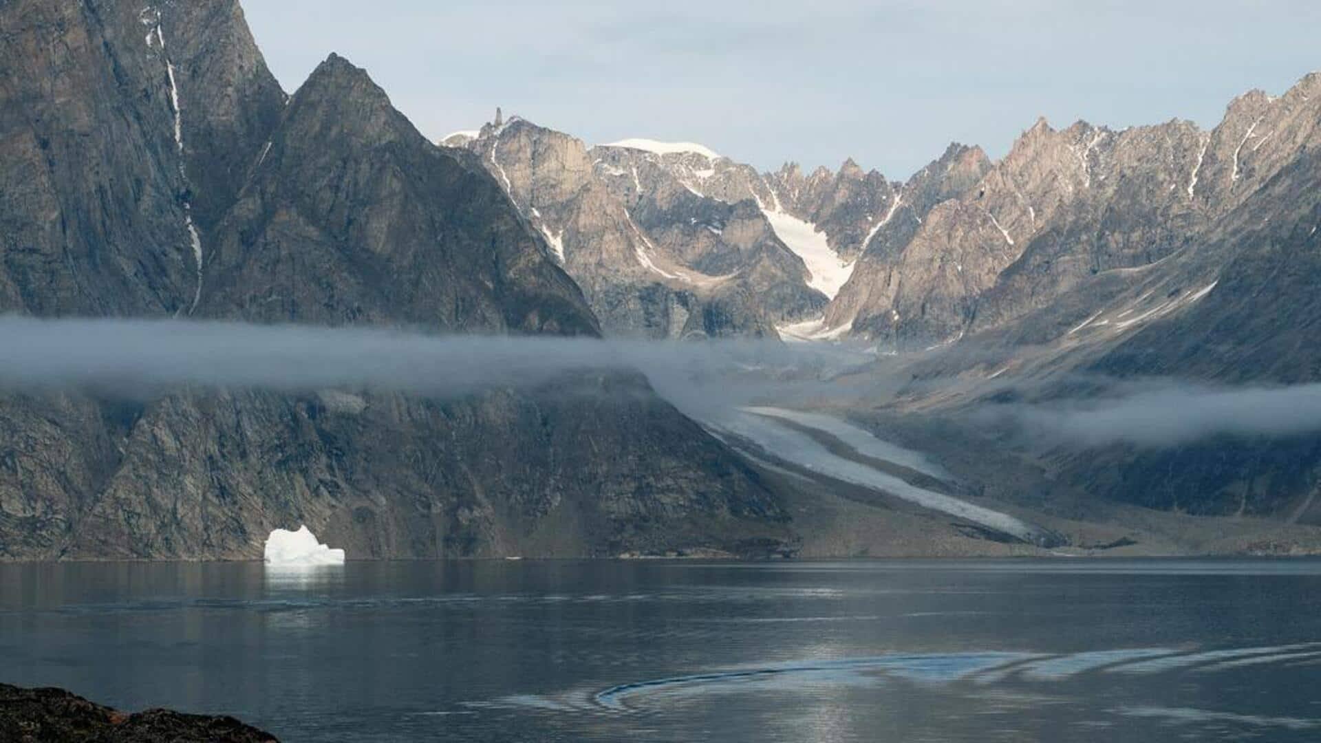 Berkayak bersama narwhal di Greenland